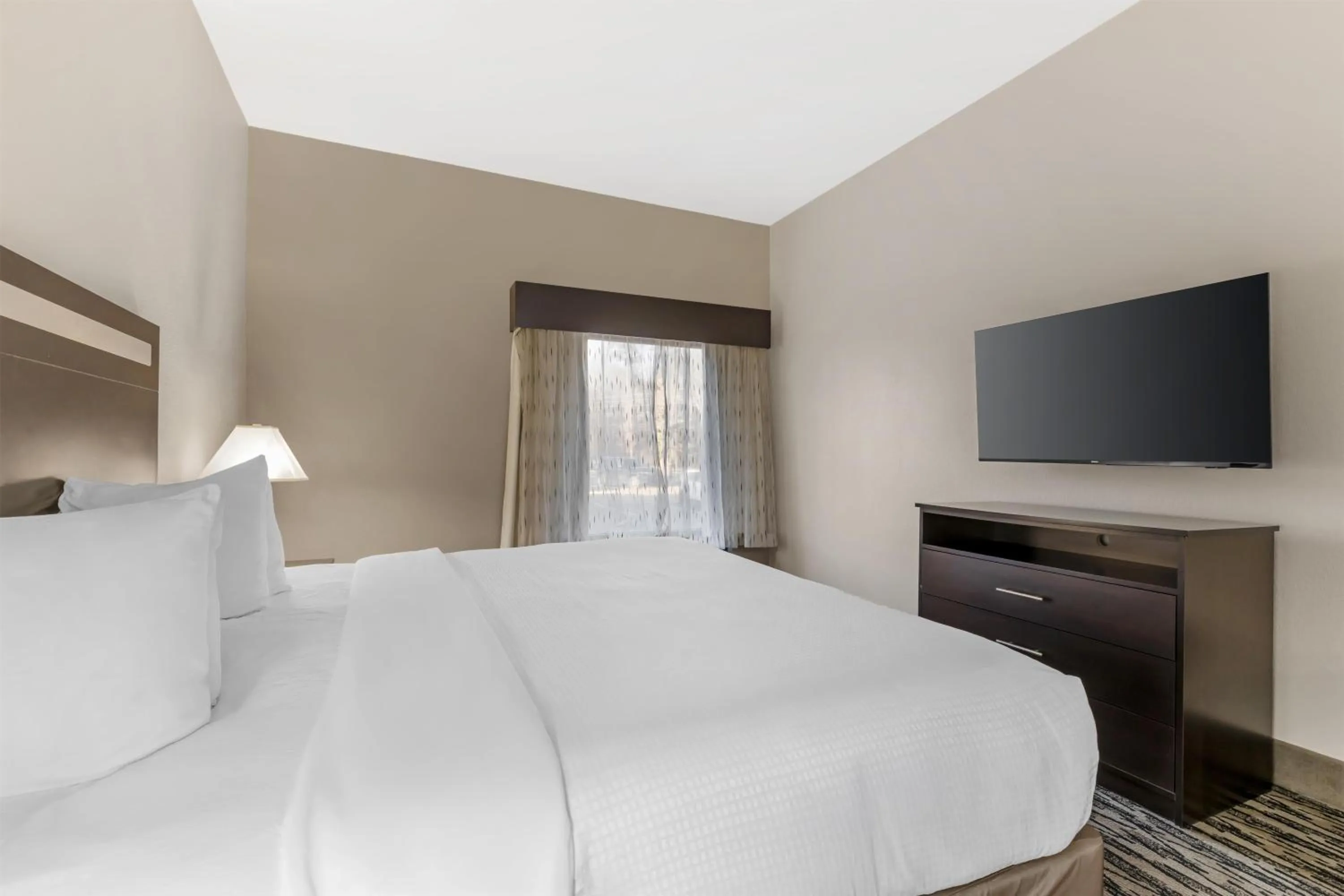 Bedroom, Bed in Best Western Plus McDonough Inn & Suites