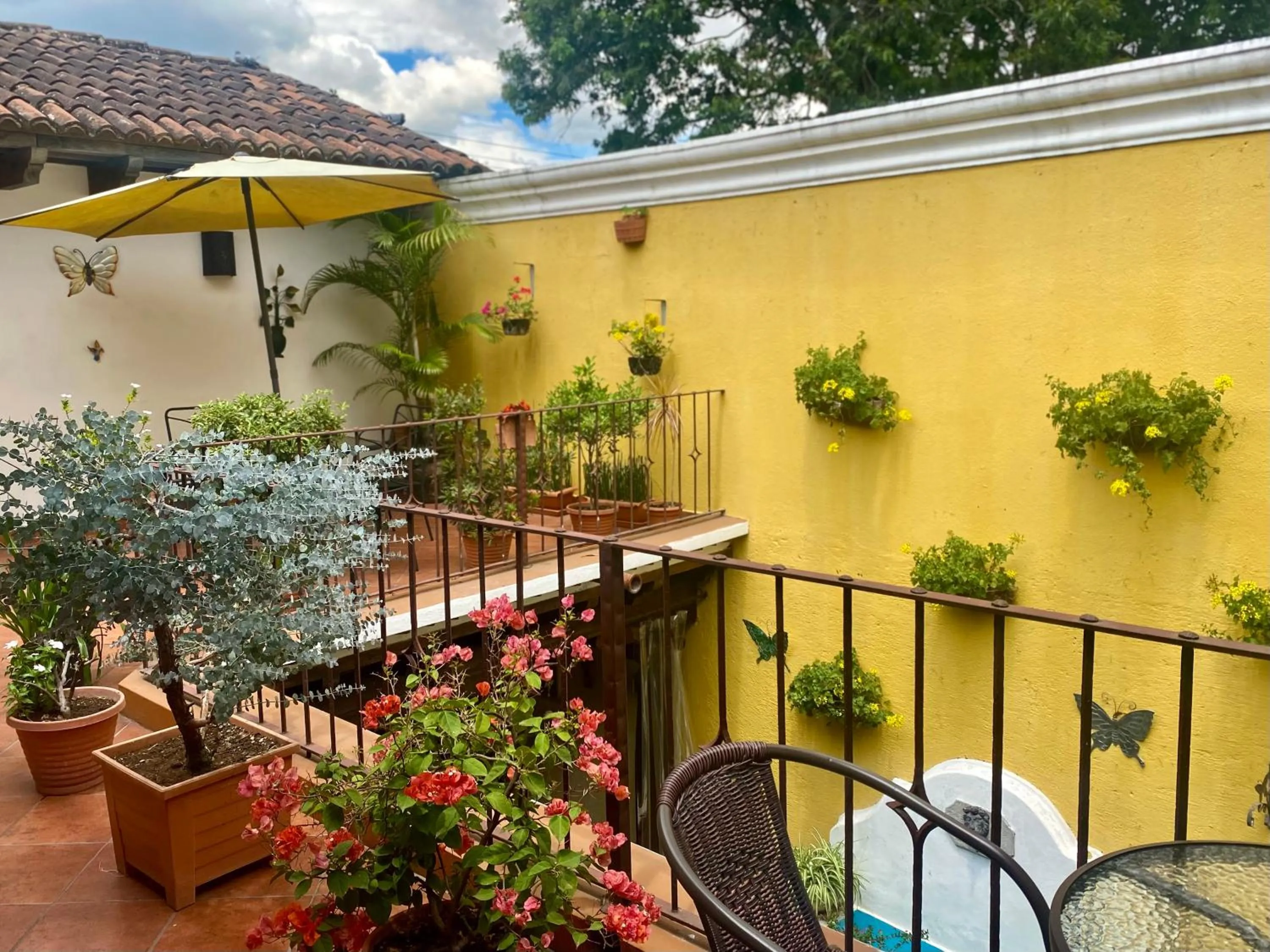 Patio in Hotel la Galería