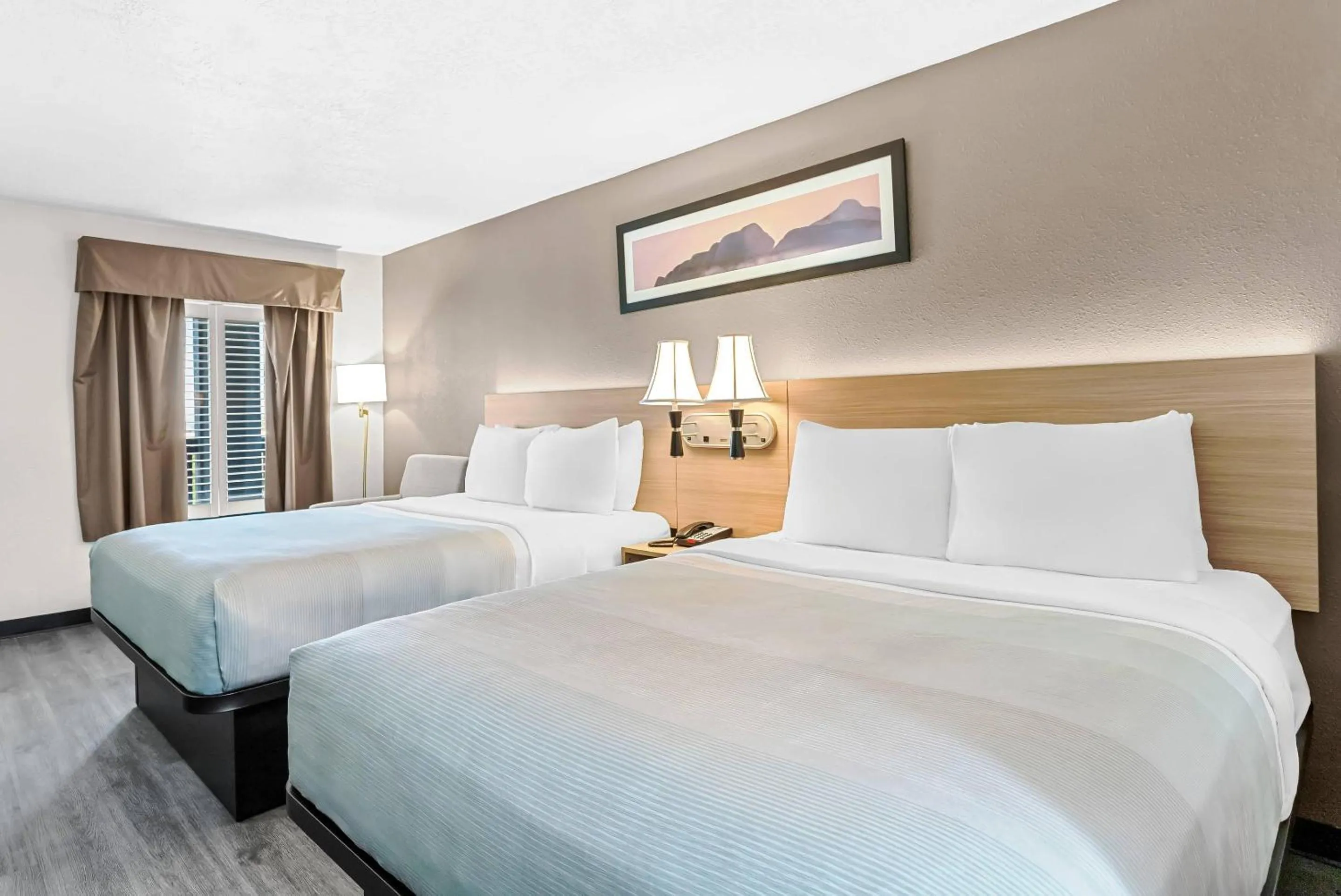 Bedroom, Bed in Quality Inn & Suites Sunport Airport Albuquerque