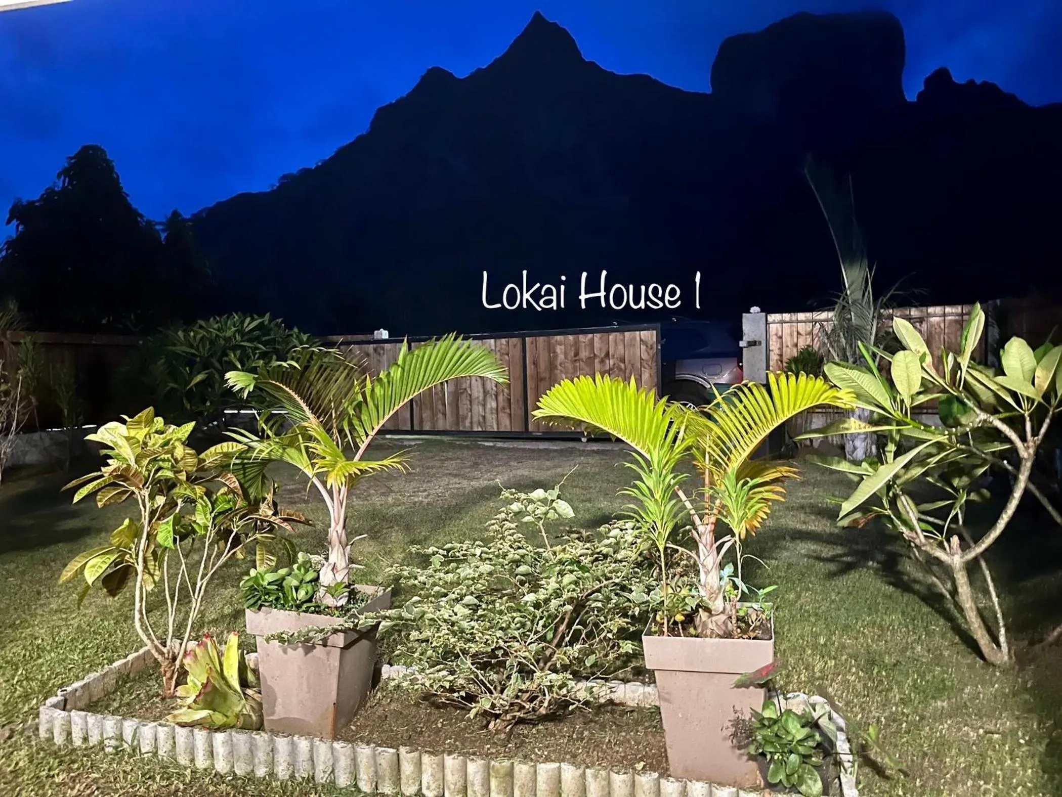 Lokai house