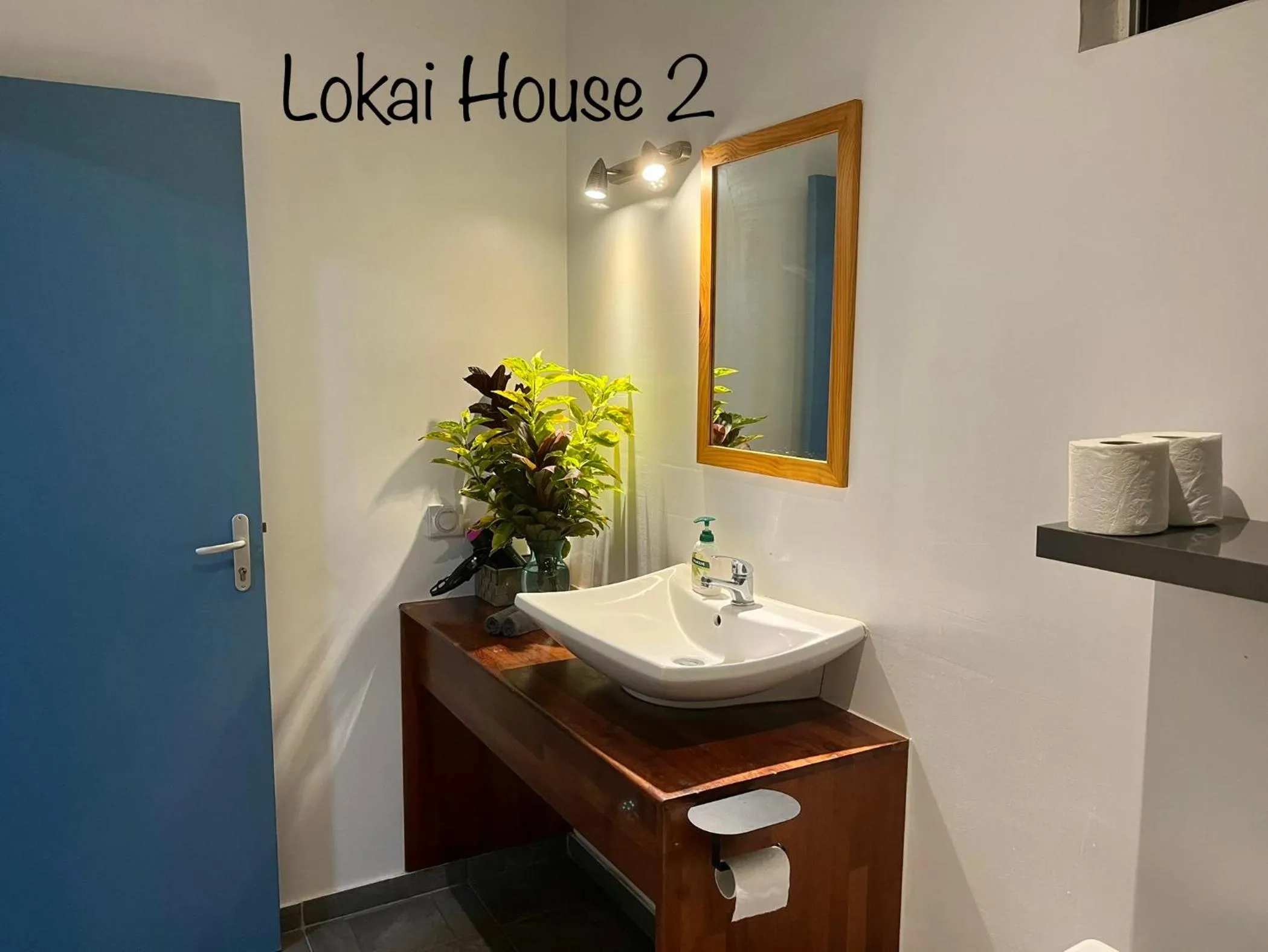 Lokai house