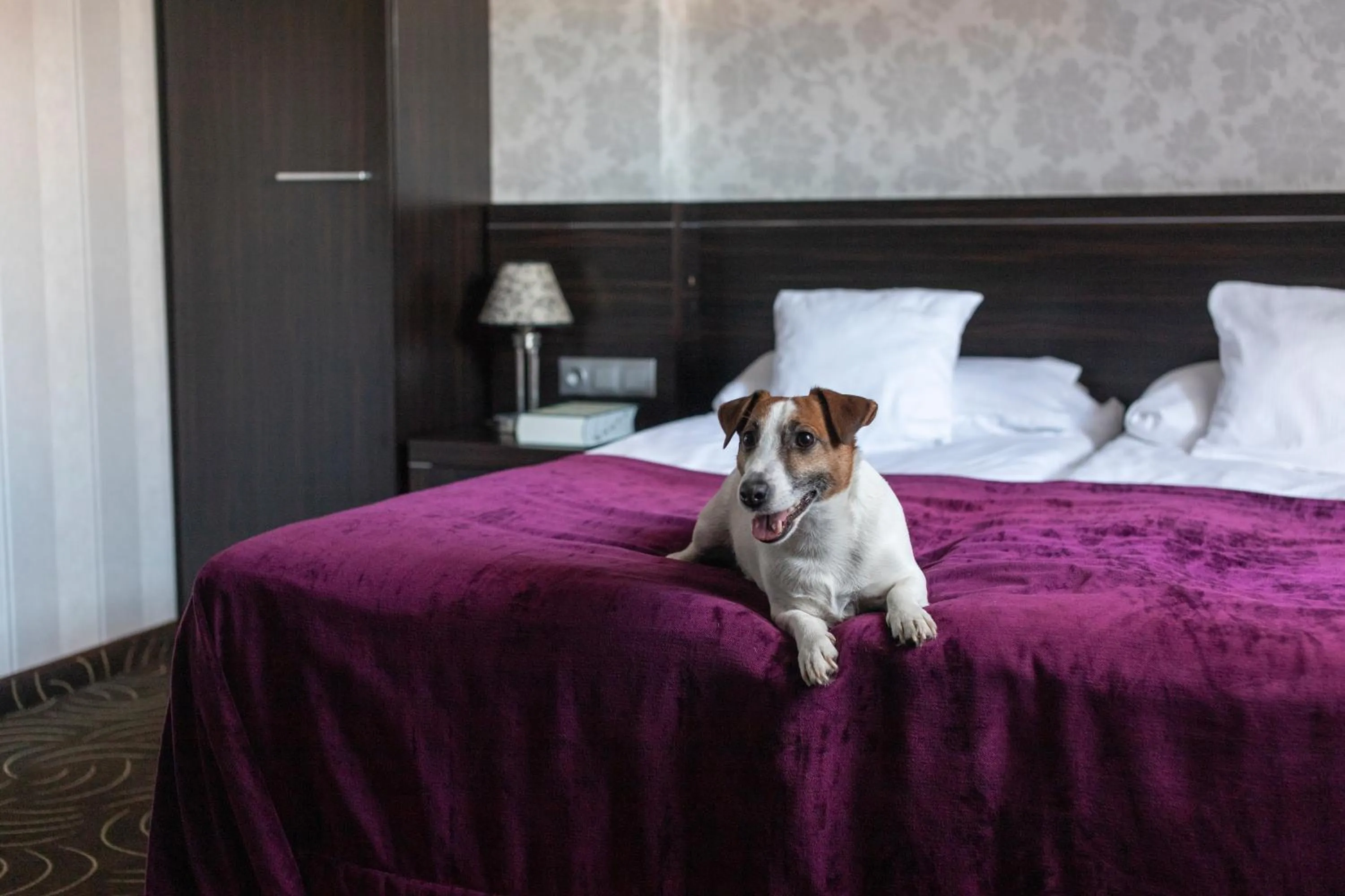 Bed in Hotel Racibor