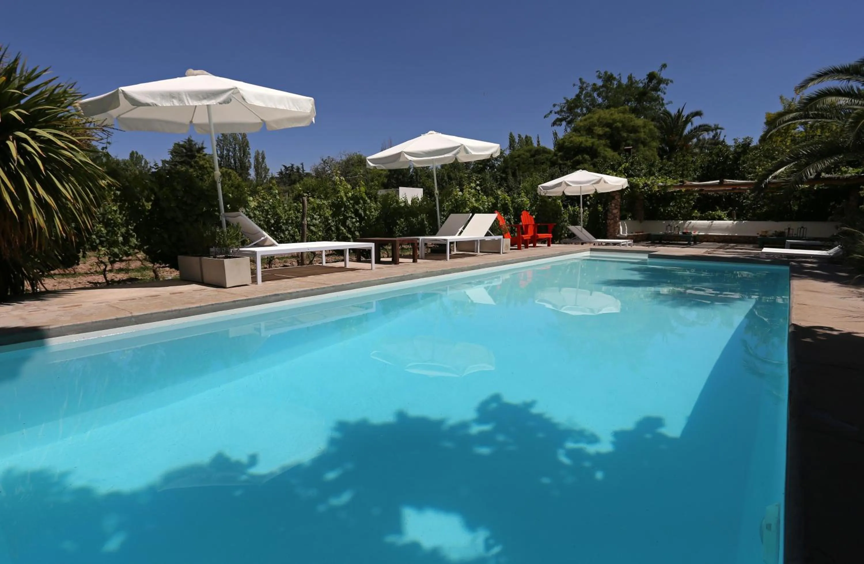 Pool view in Finca Adalgisa