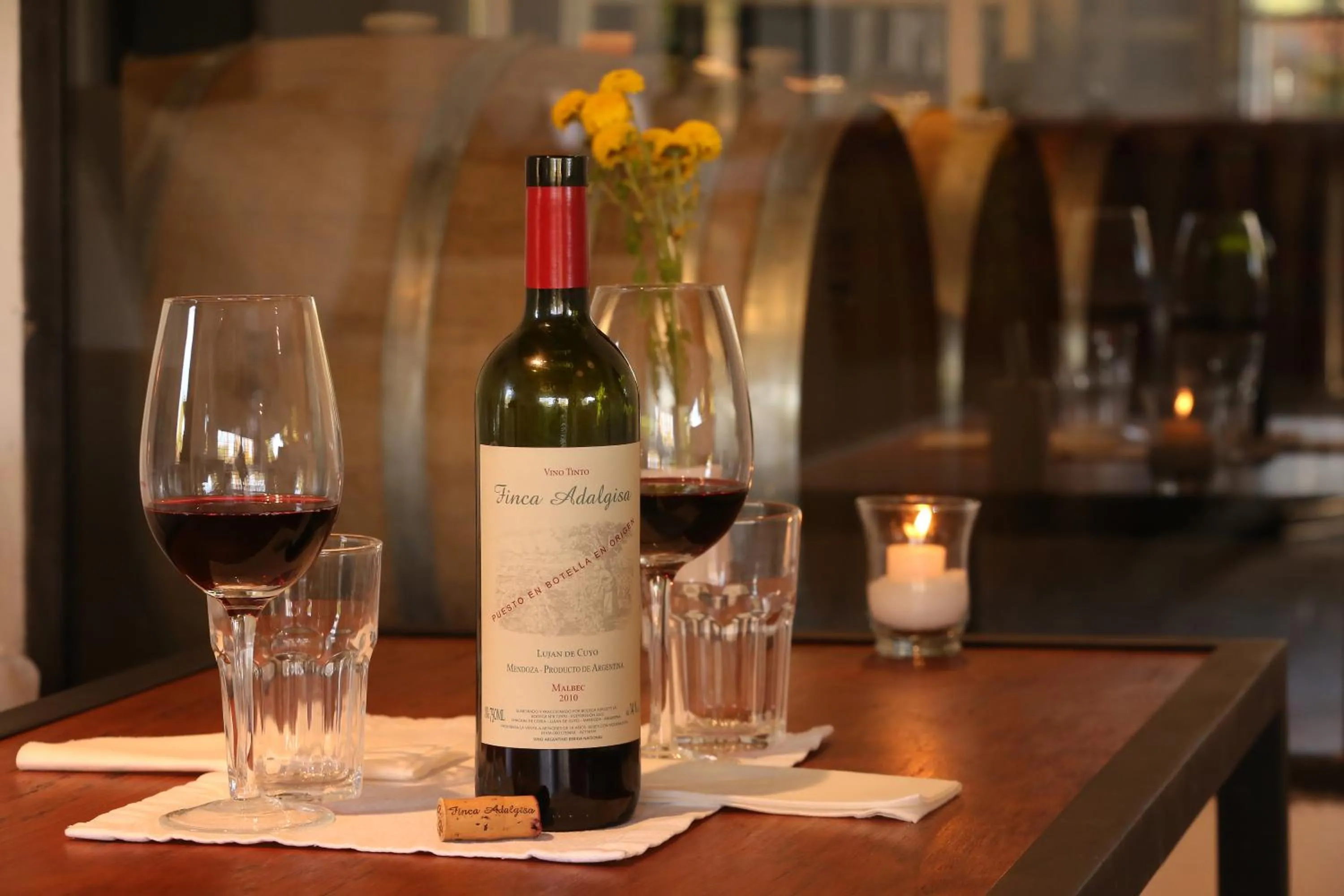 Lounge or bar in Finca Adalgisa