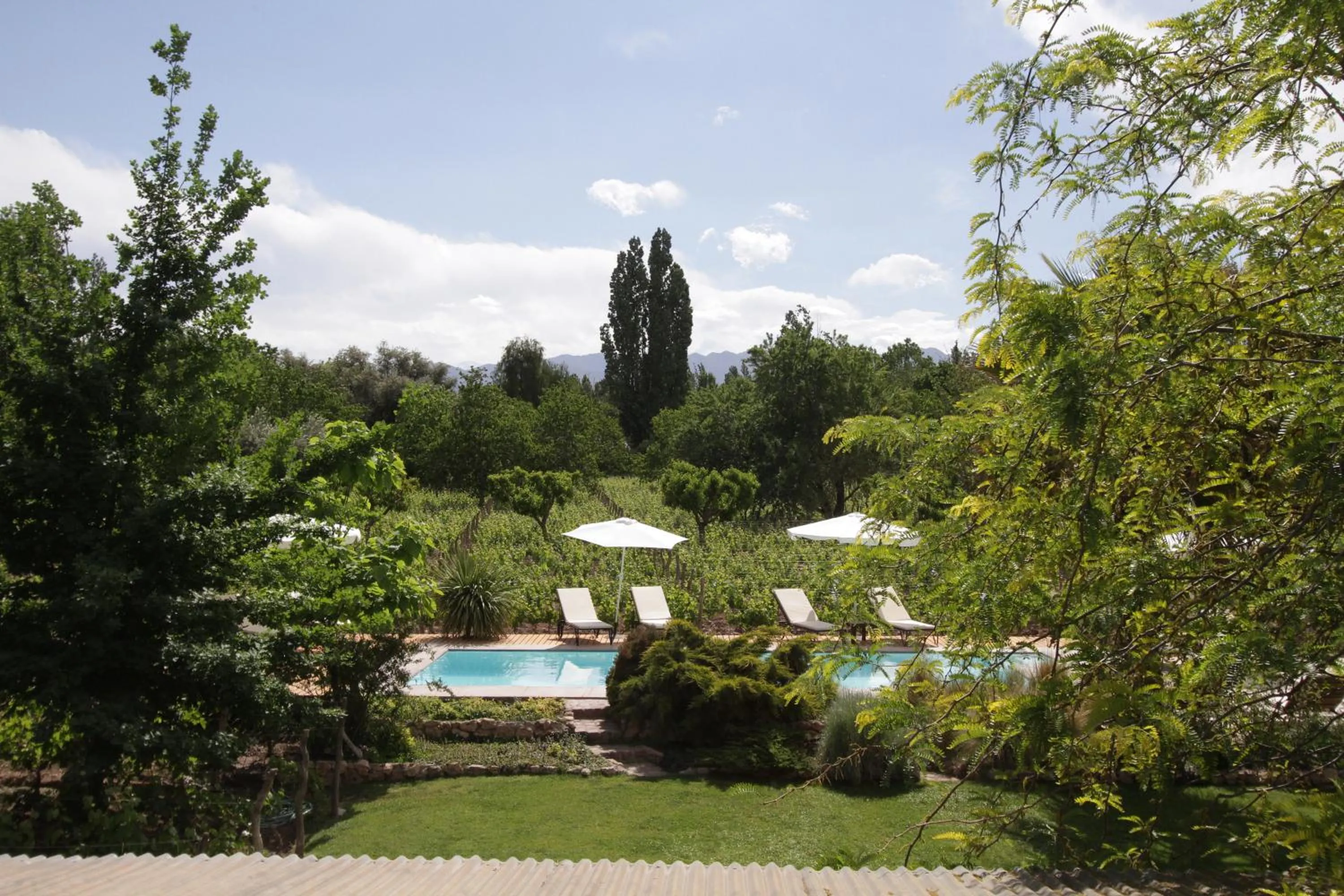 Natural landscape in Finca Adalgisa