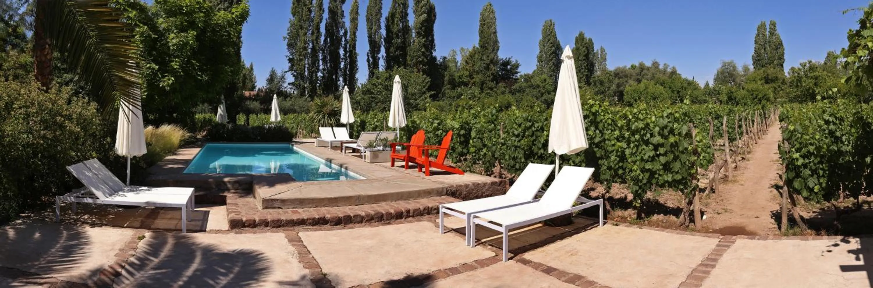 Activities in Finca Adalgisa