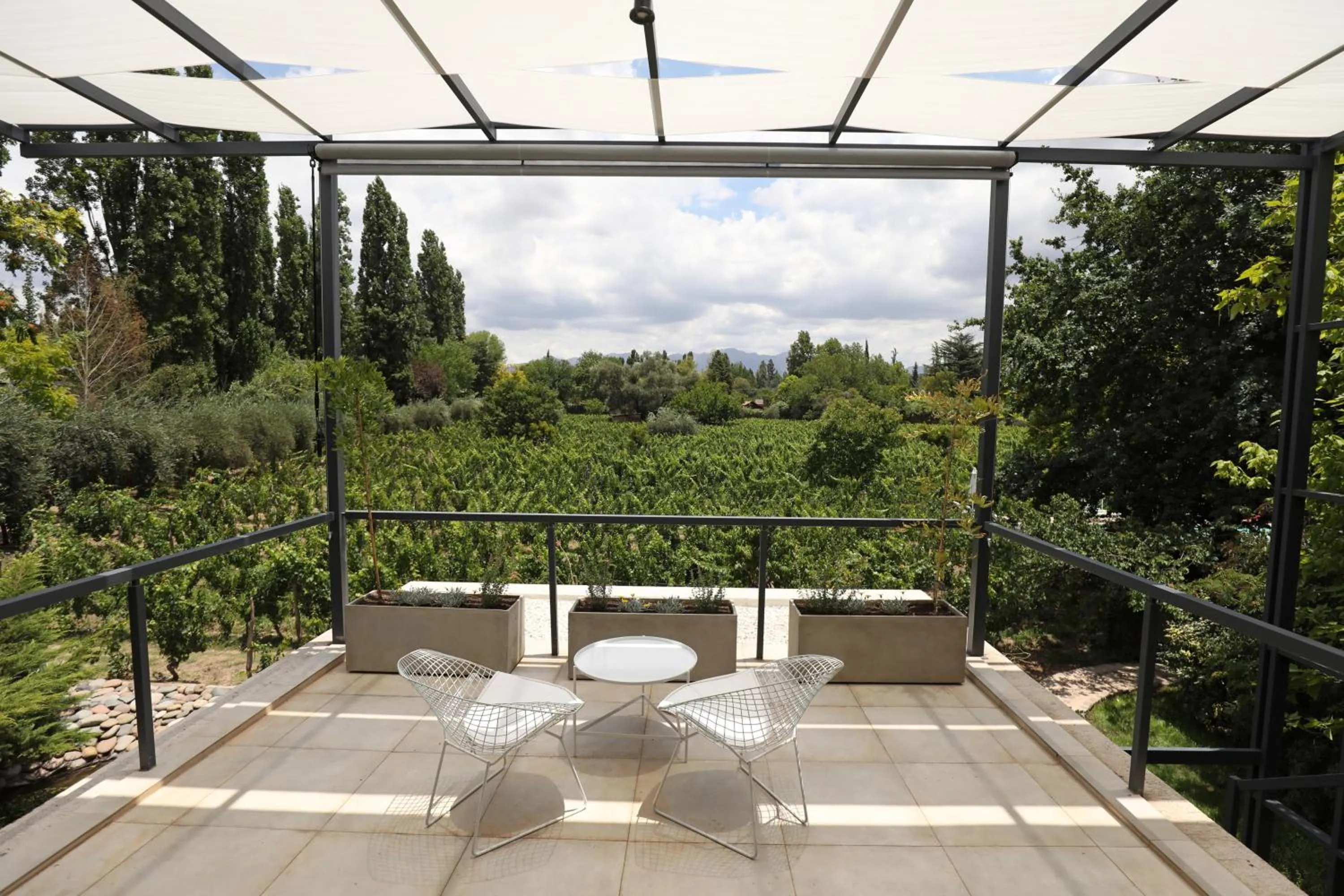 Finca Adalgisa Wine Hotel Mendoza