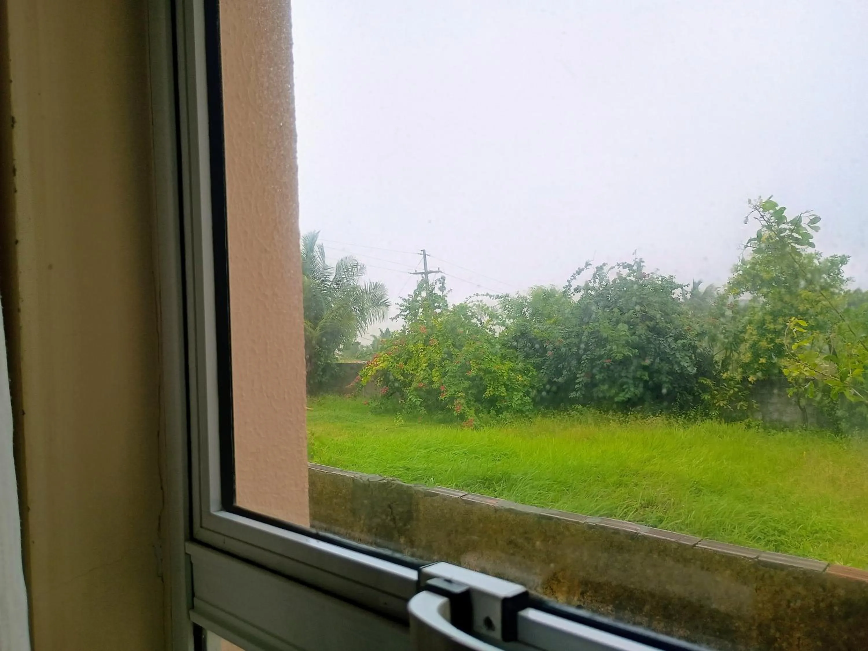 View (from property/room) in Pousada Laguna