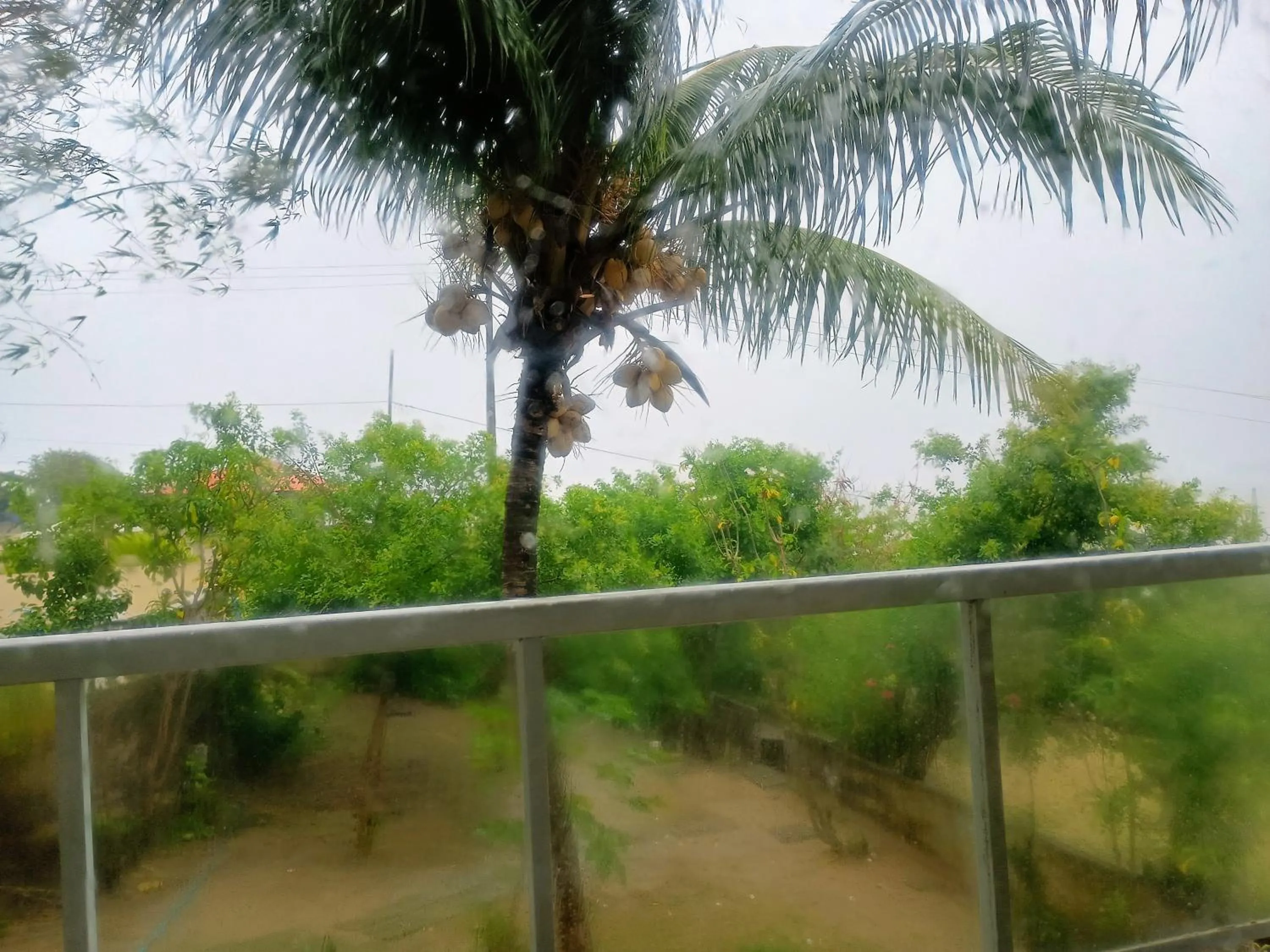 Garden view in Pousada Laguna