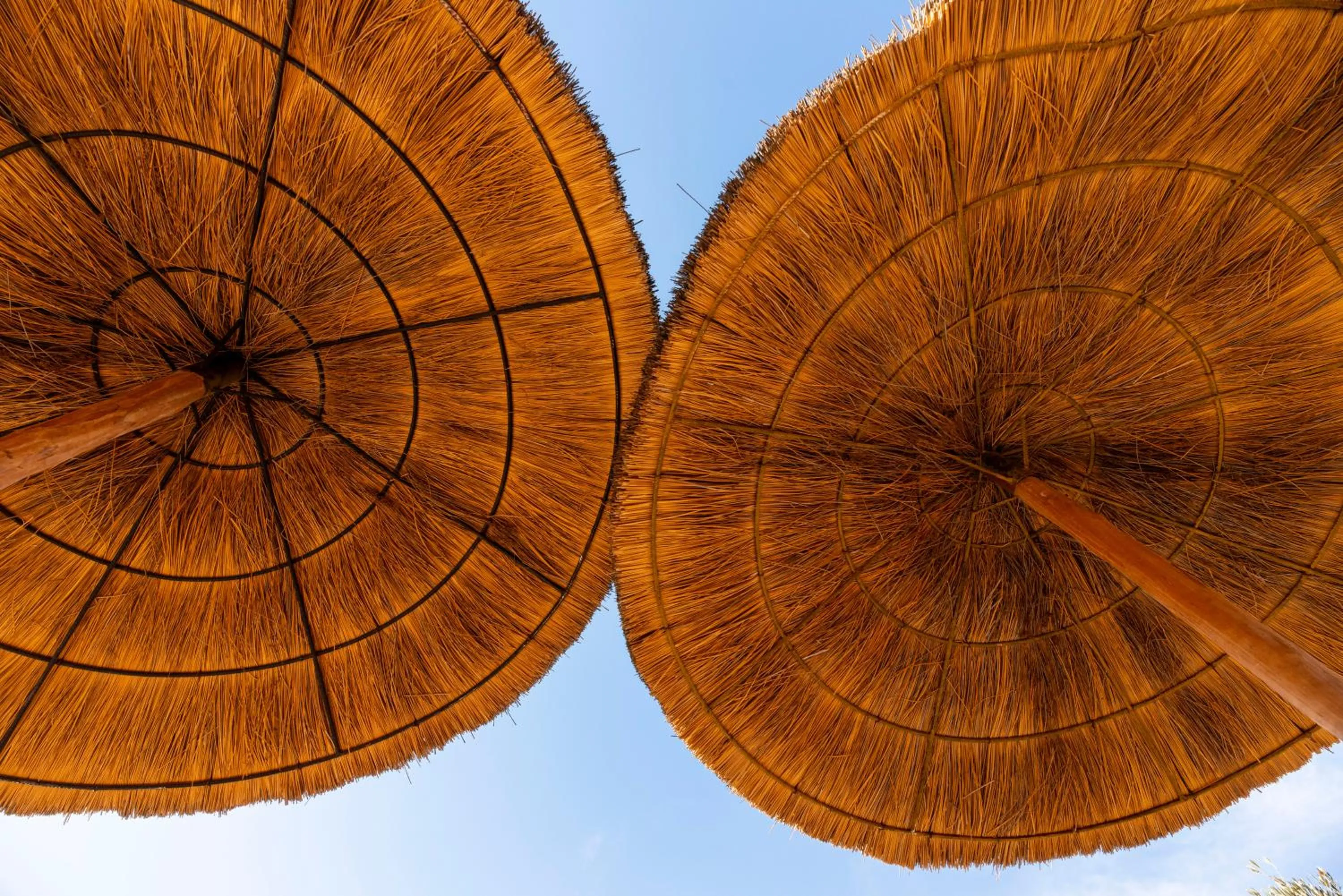 Riad 64 Maison D'hôtes & Spa