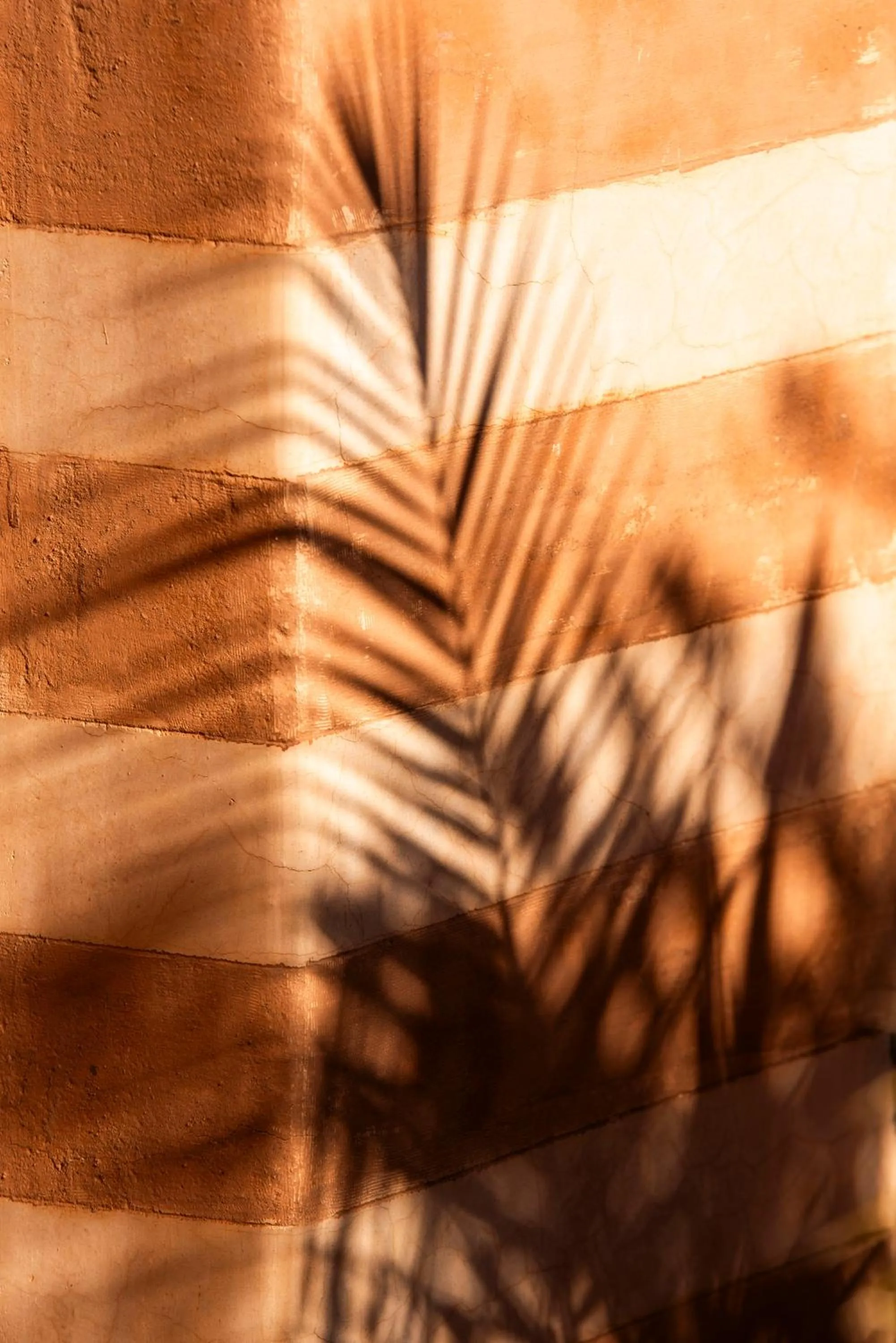 Riad 64 Maison D'hôtes & Spa