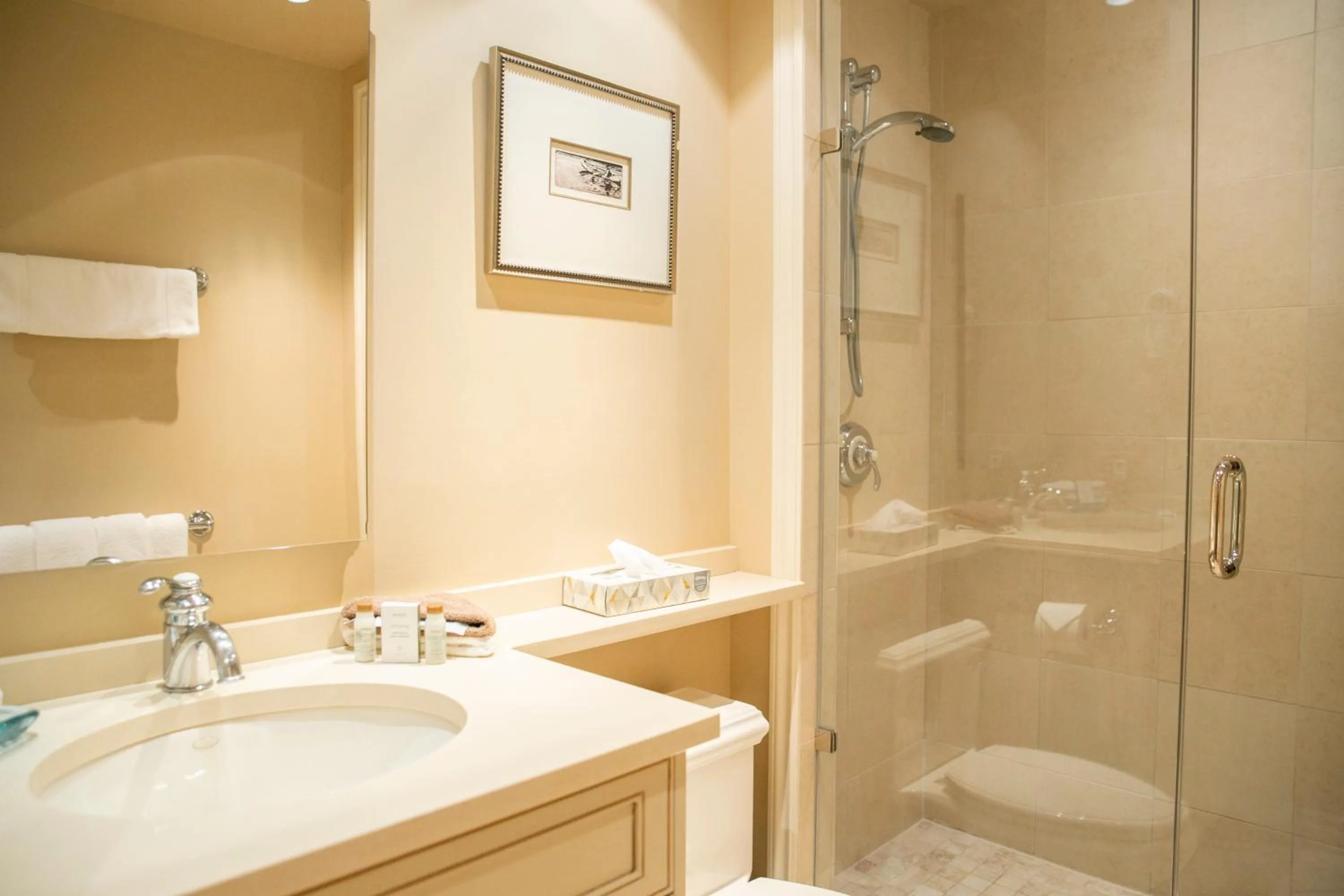 Shower in Carleton Lodge