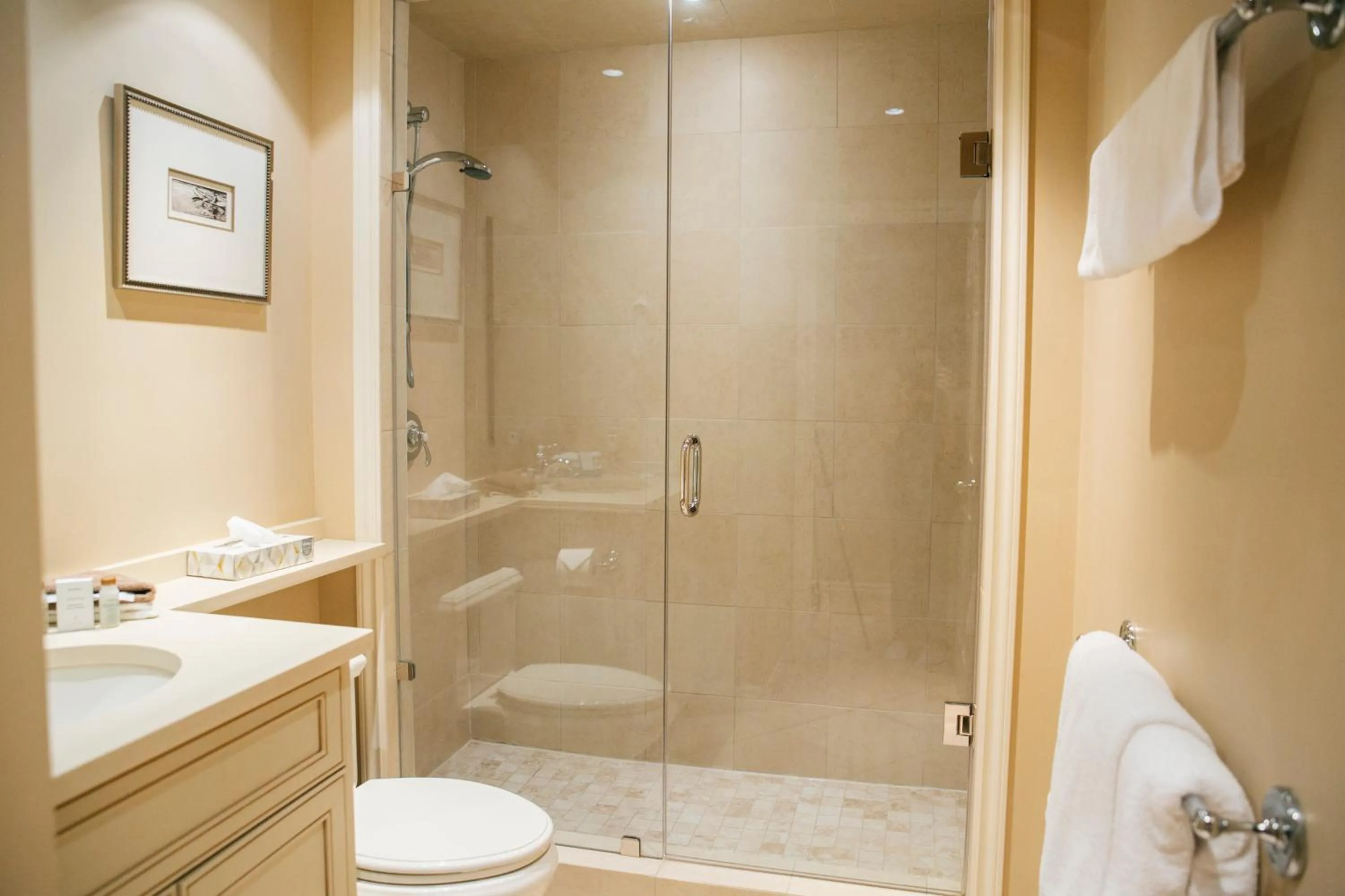 Shower in Carleton Lodge