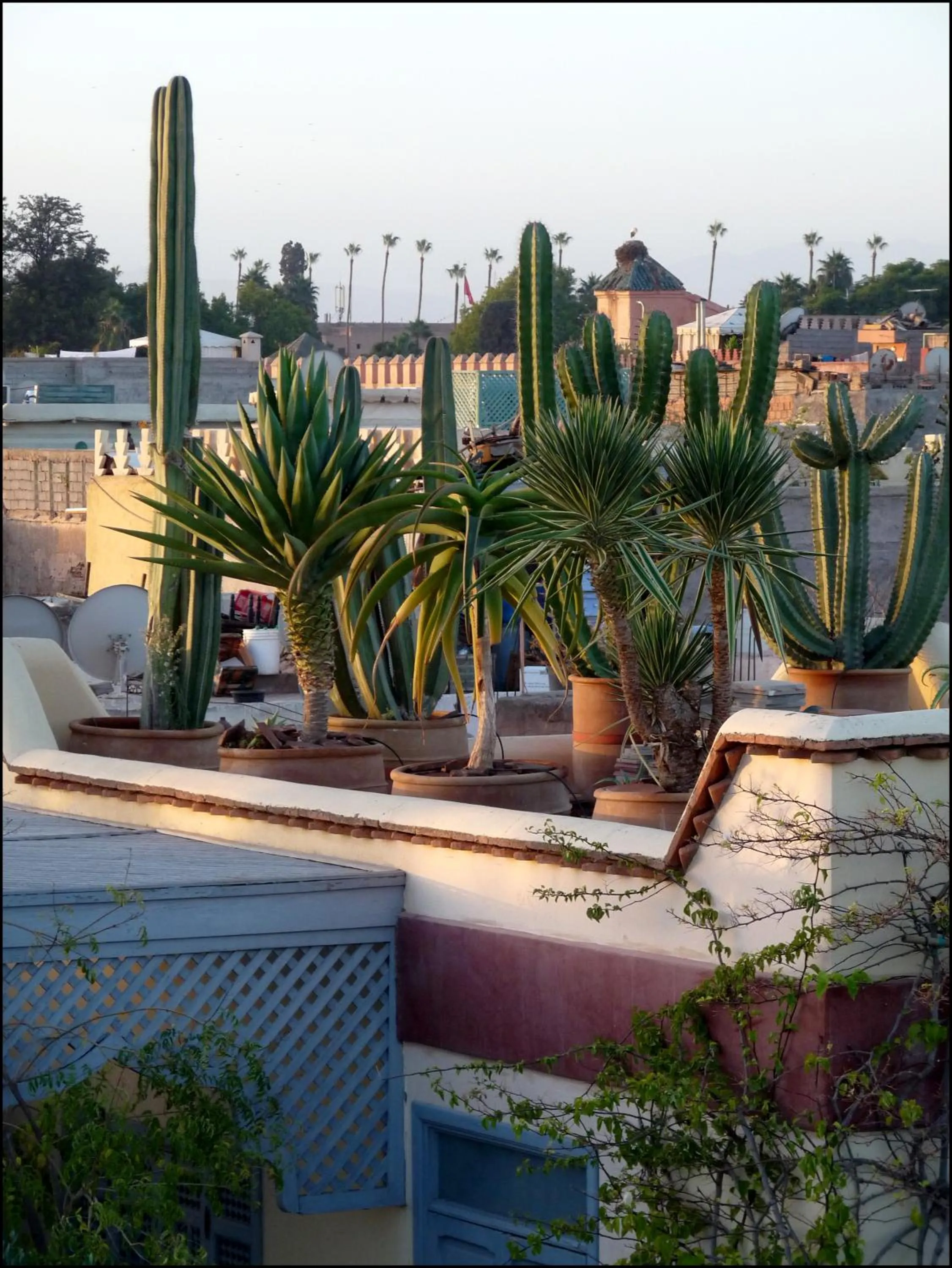 Property building in Riad Noos Noos & Spa