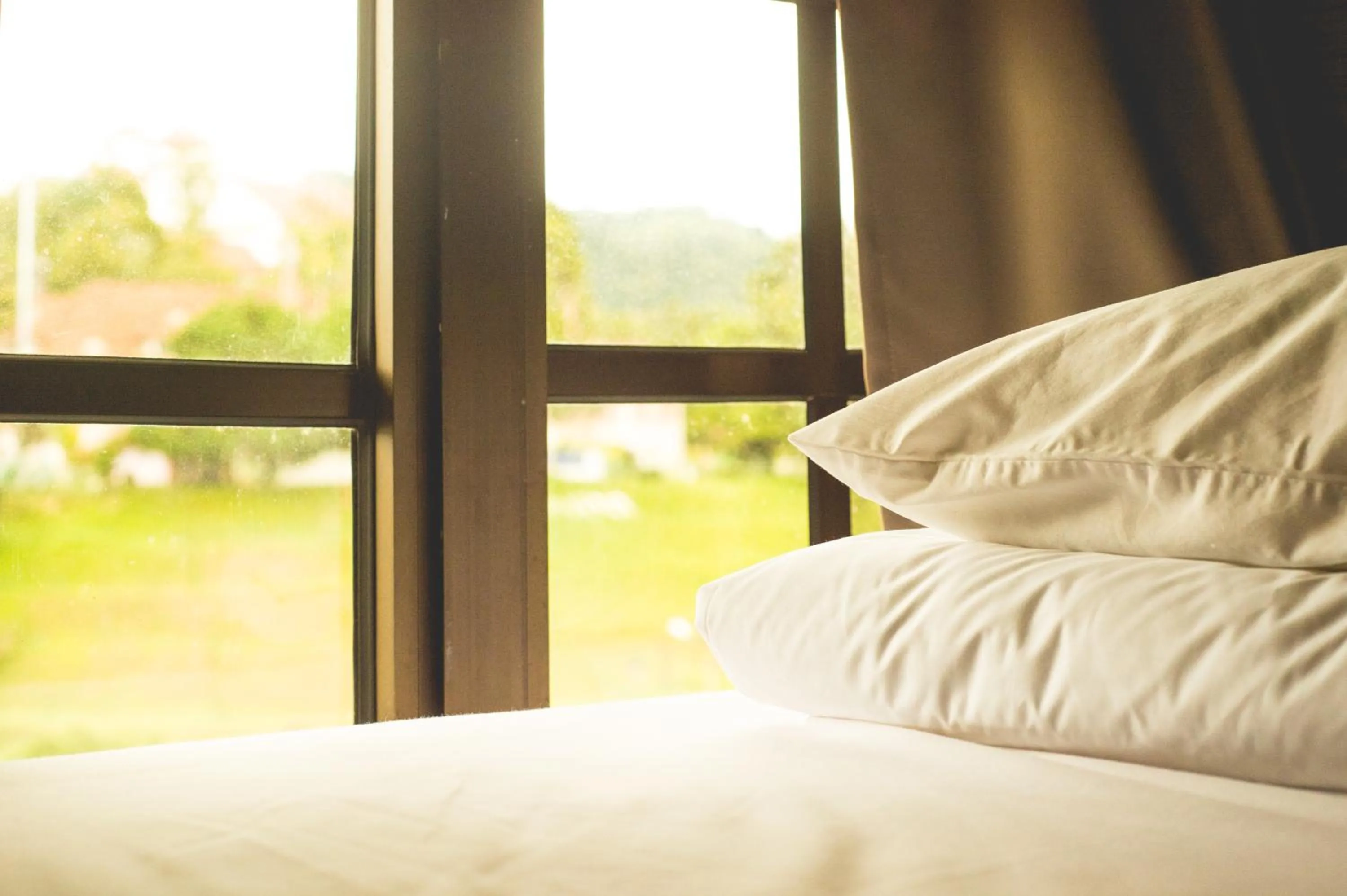 Bed in Traveller Bunker Hostel 1