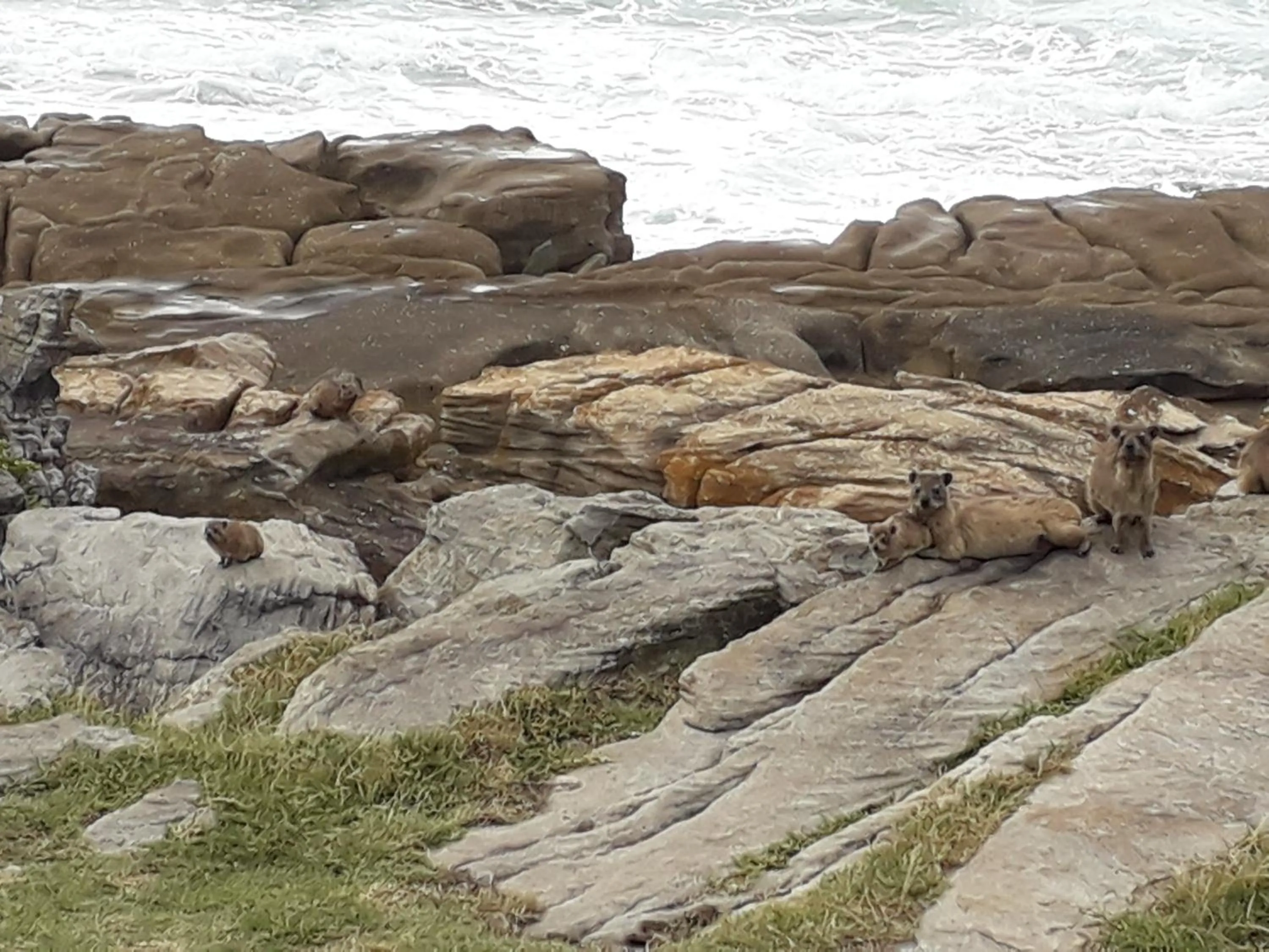 Natural landscape in Song of the Whales