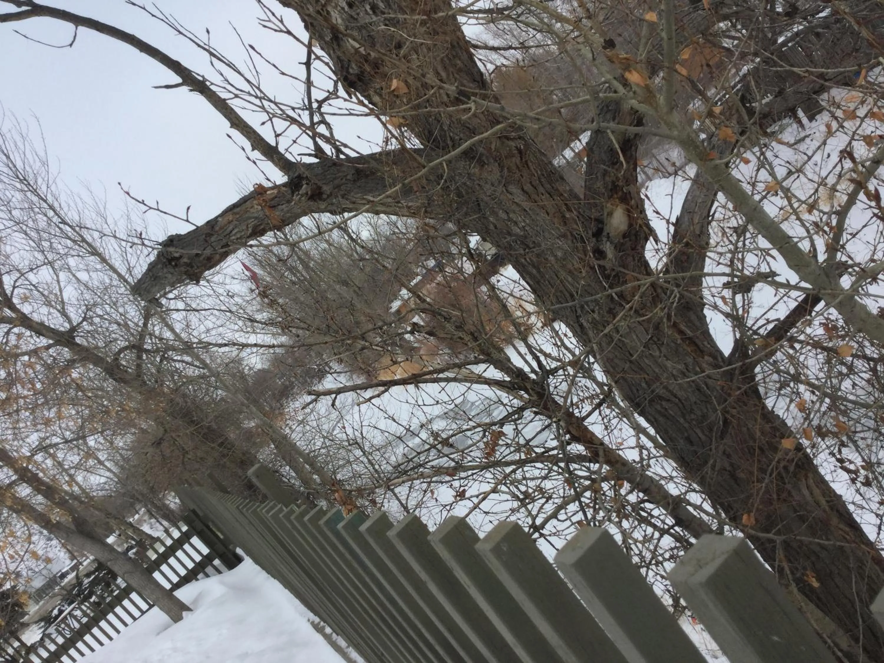 River view in Riverside Motel Cache Creek