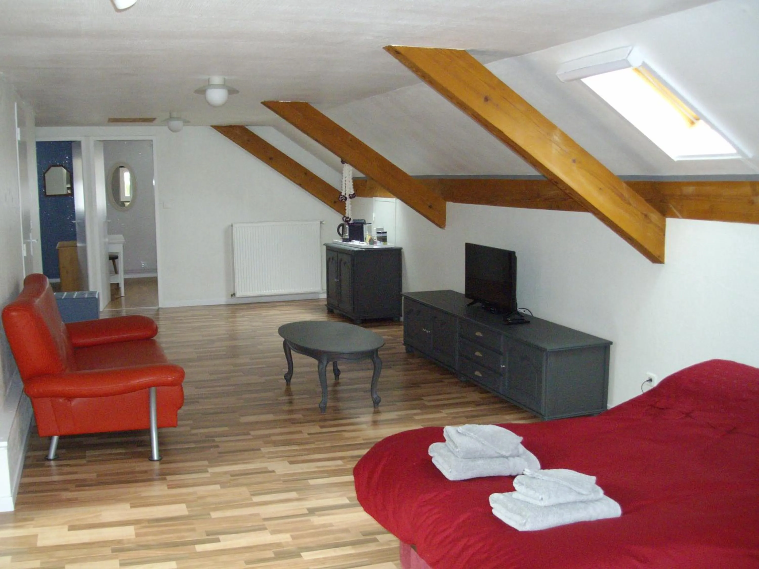 TV and multimedia in Mon Eden Vosgien