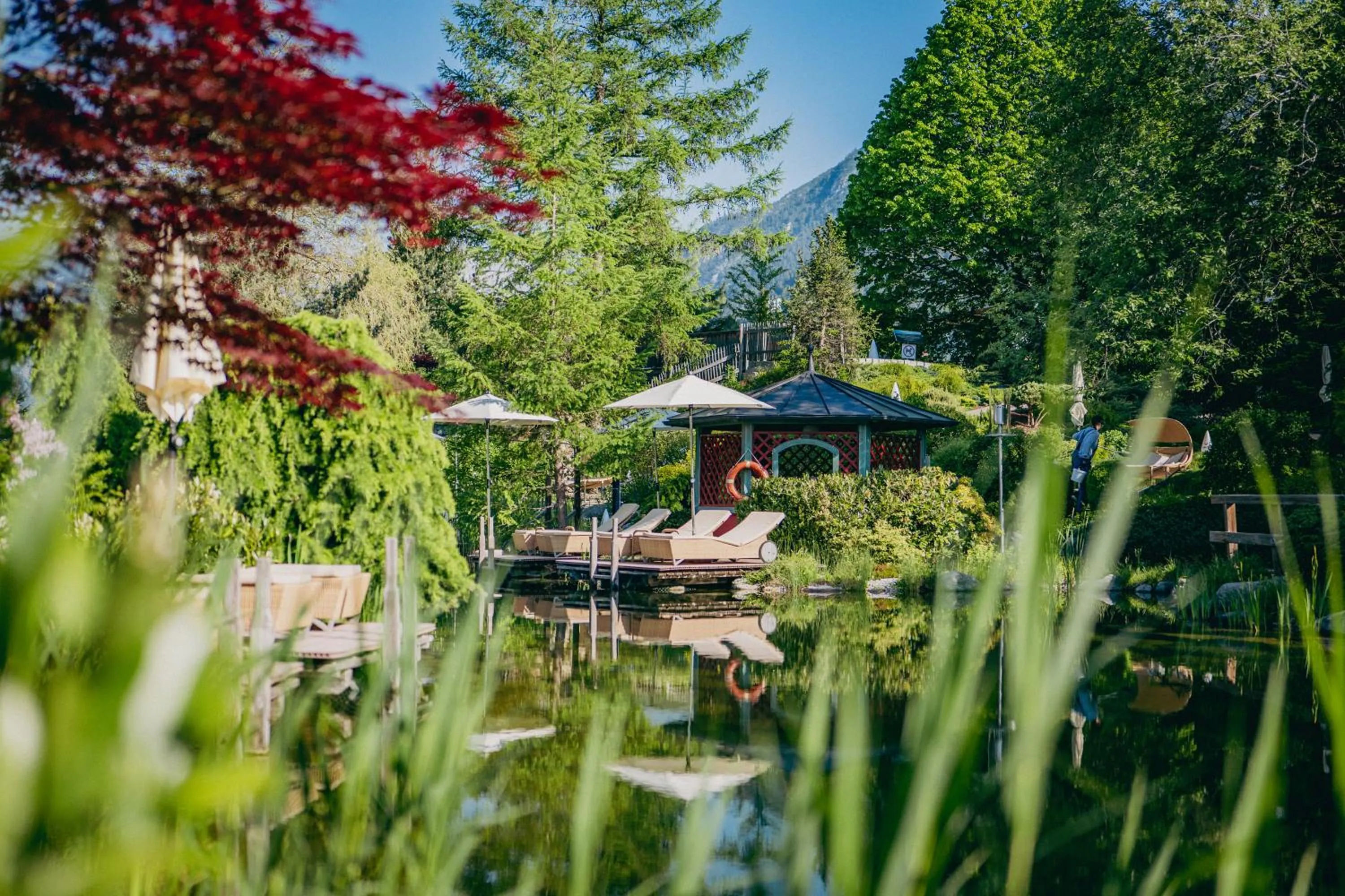 Natural landscape in Cocoon - Alpine Boutique Lodge