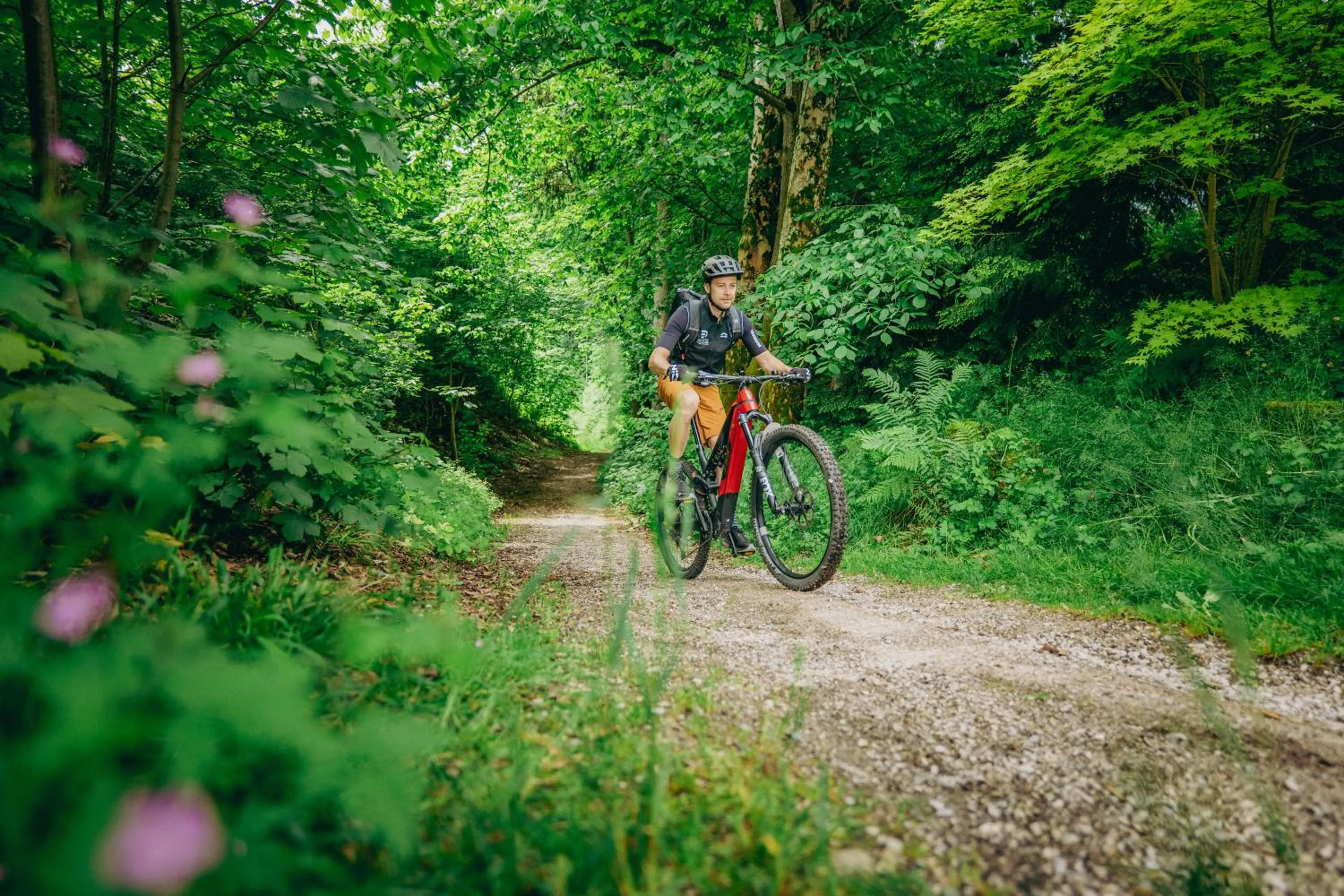 Natural landscape in Cocoon - Alpine Boutique Lodge