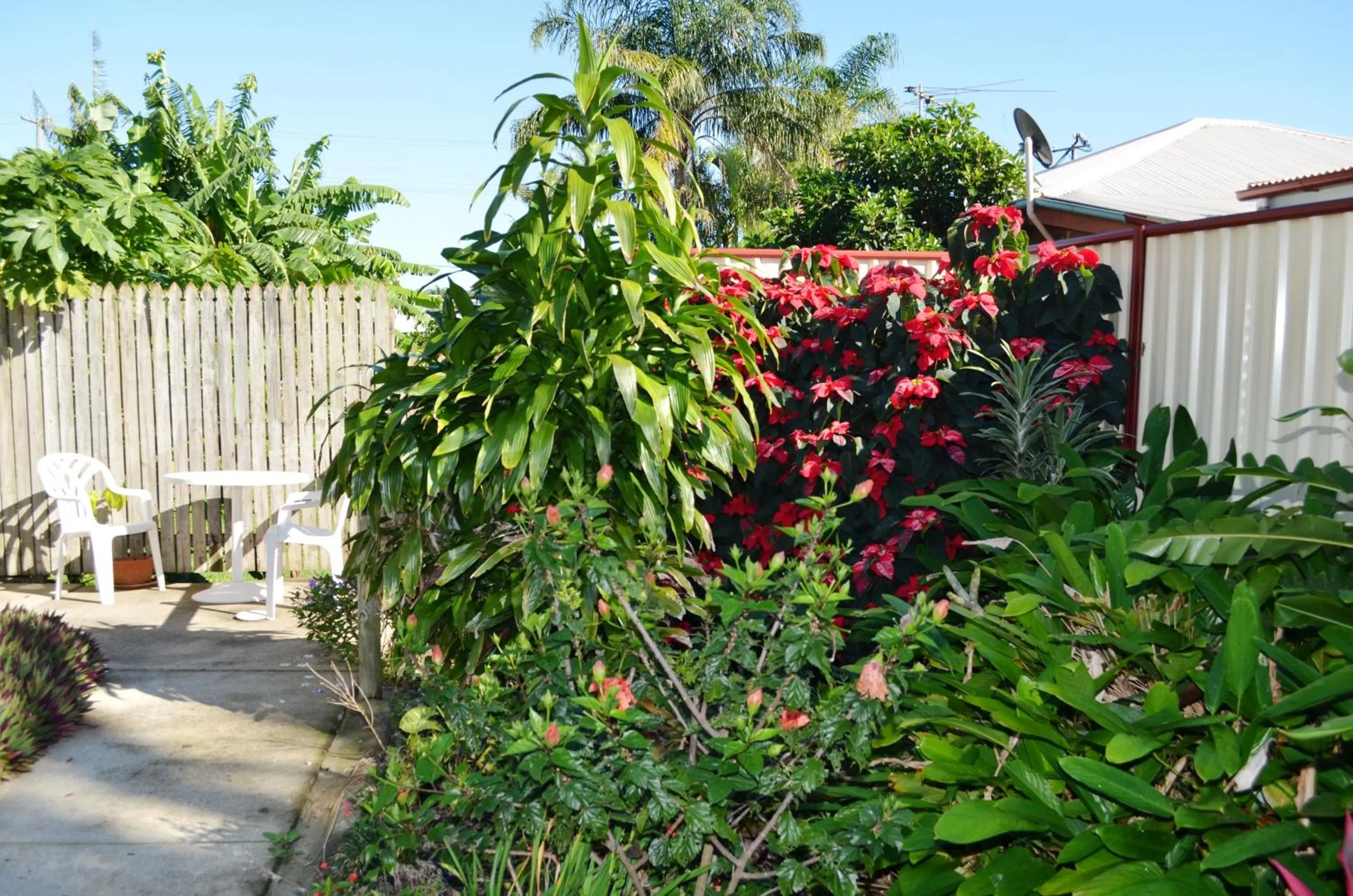 Garden in Redland Bay Motel