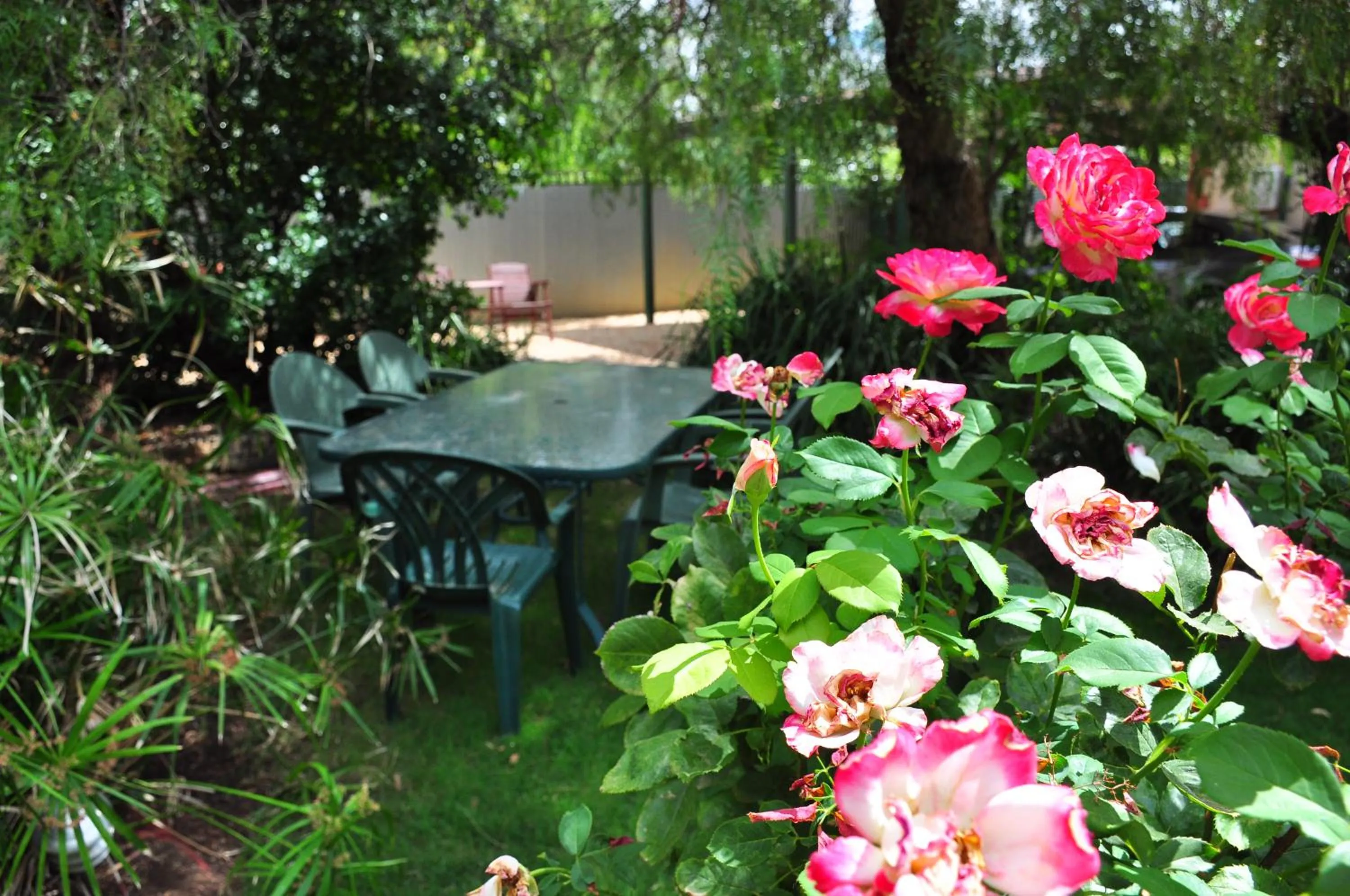Garden in The Dove Cote