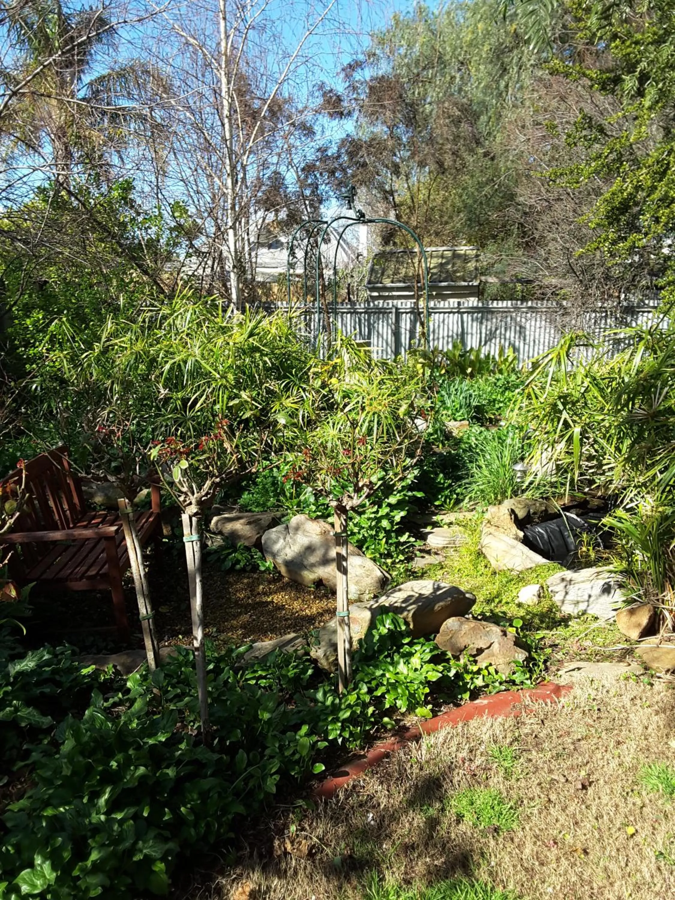 Garden in The Dove Cote