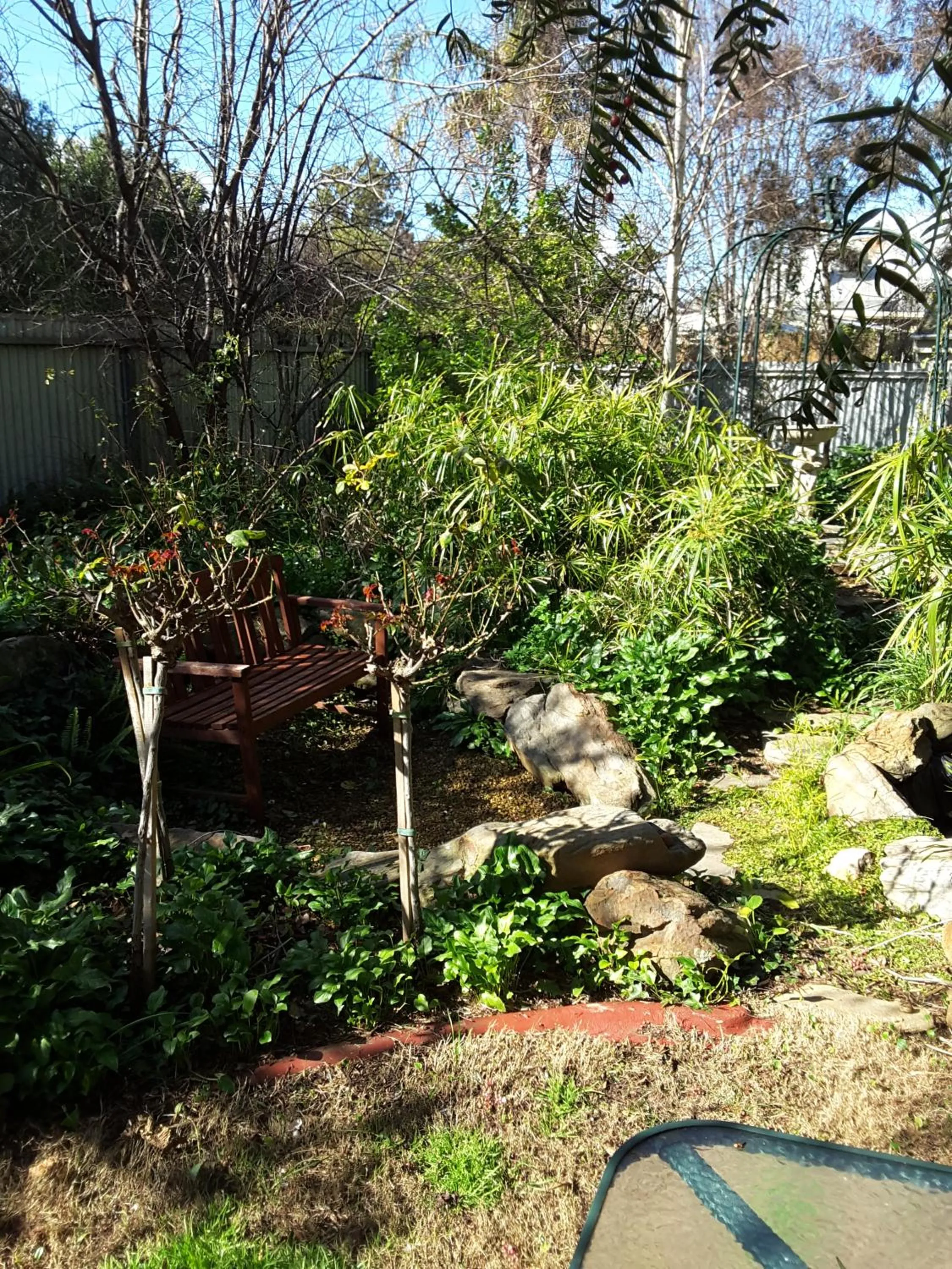Garden in The Dove Cote