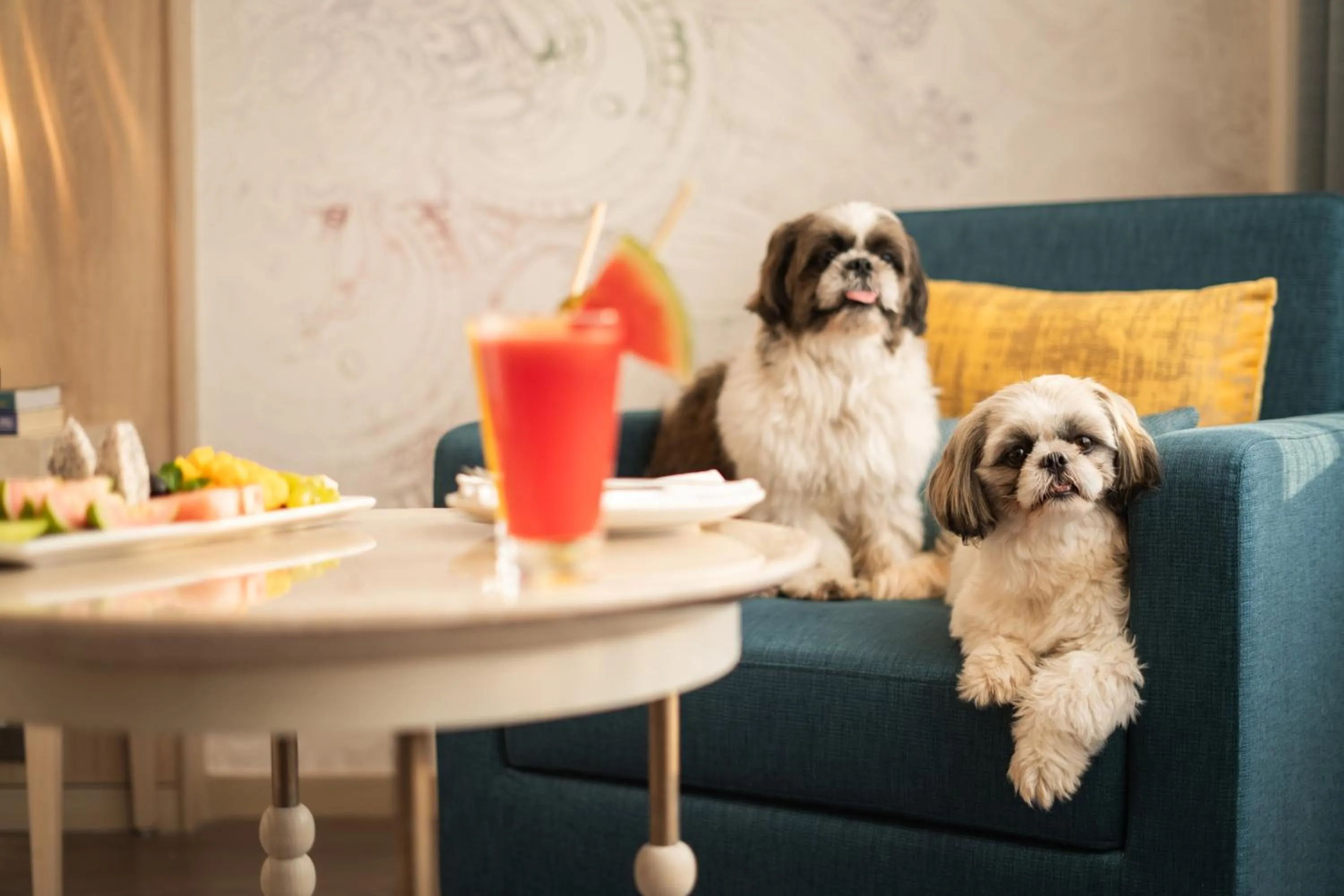 Pets in Ekante Bliss Tirupati - IHCL SeleQtions