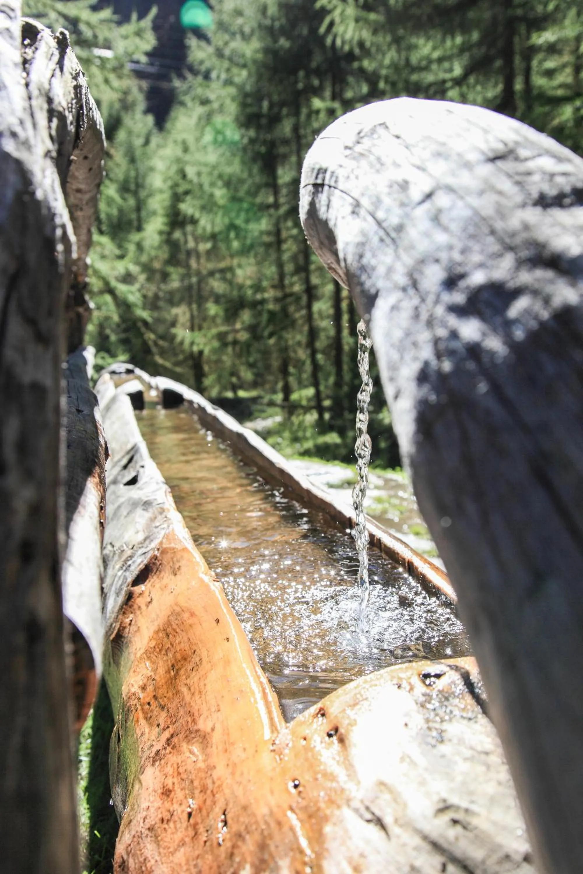 Entertainment in Garni des Alpes