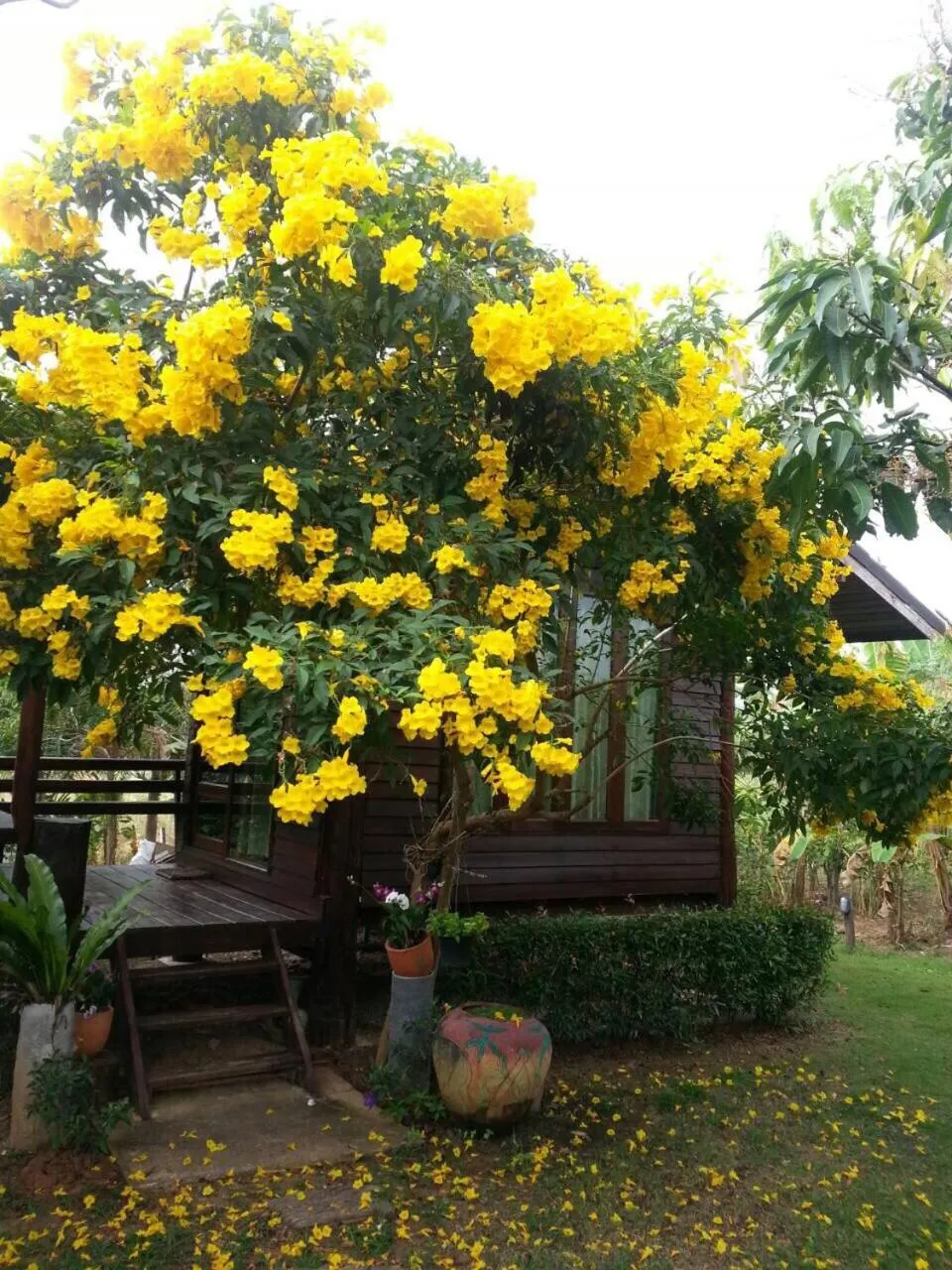 Wangnamkeaw Goodviewresort