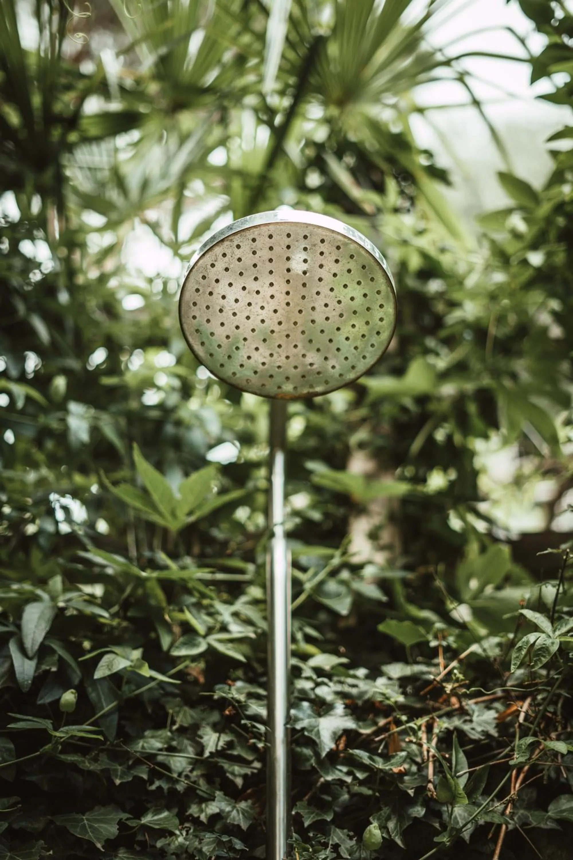 Shower in Ottmanngut Suite and Breakfast