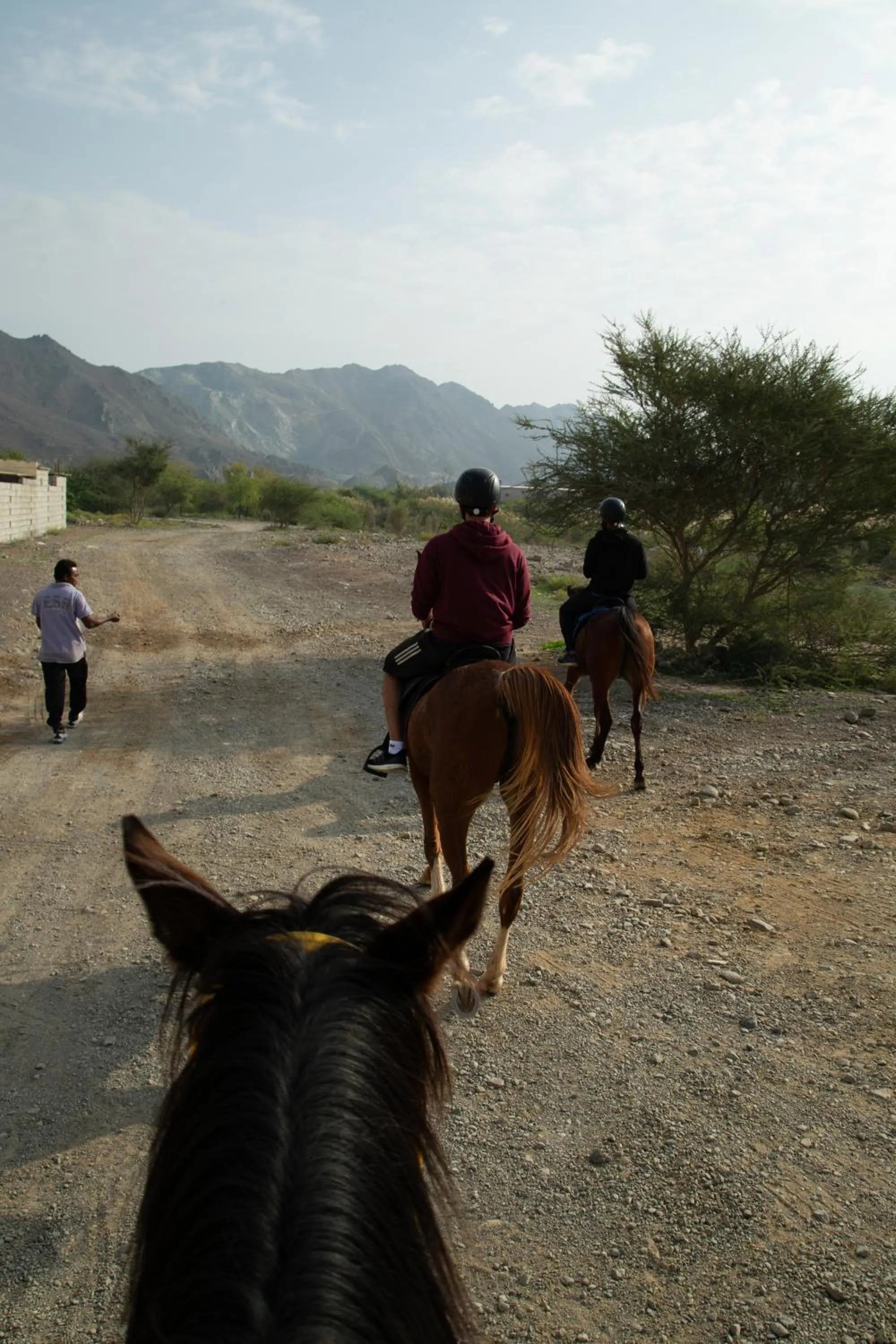 Day in Hatta Resorts