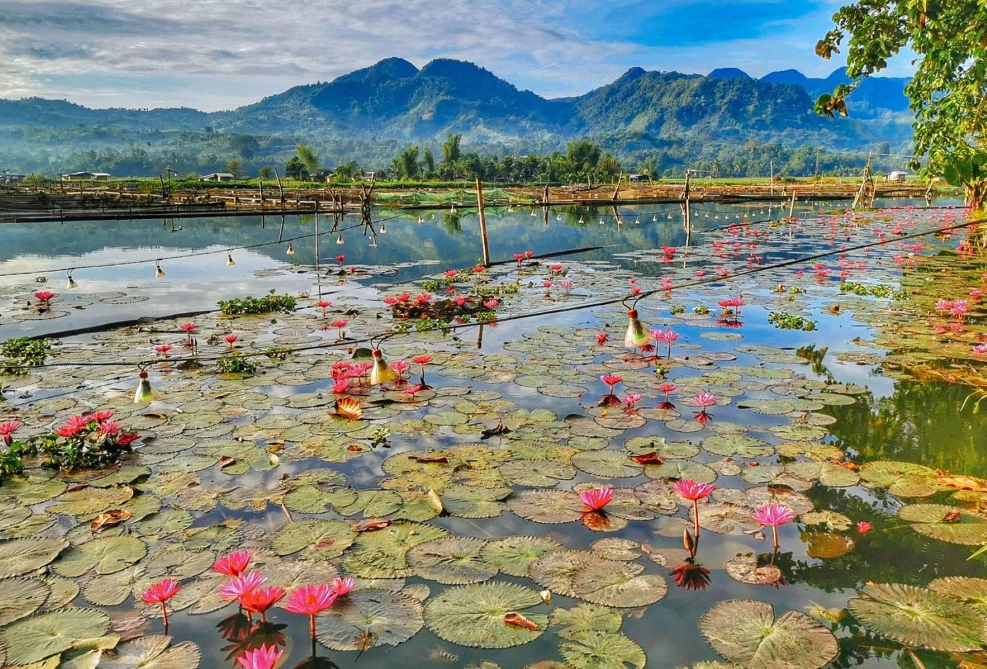 Area and facilities in Sunrise Garden Lake Resort
