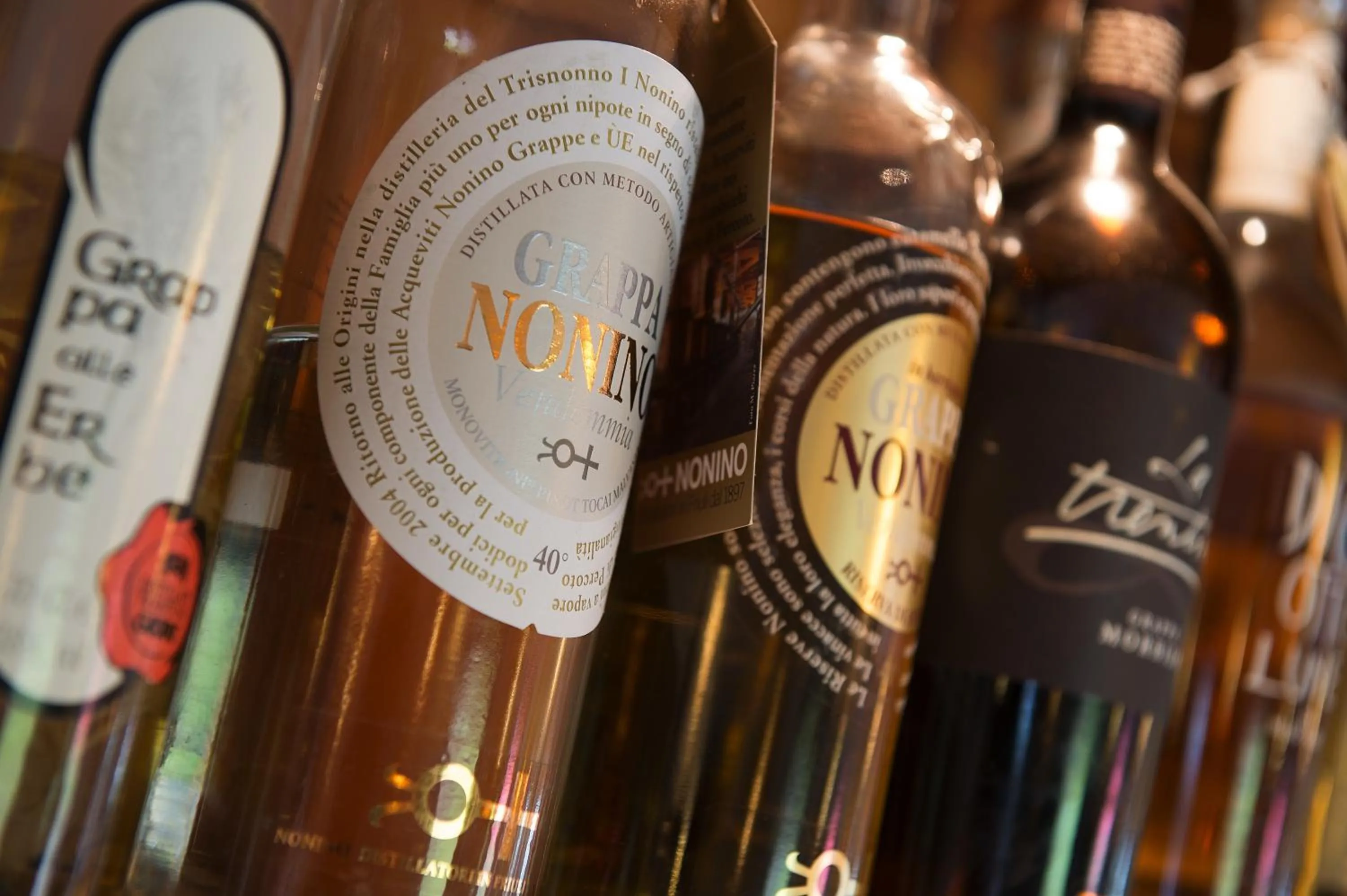 Lounge or bar in Hotel Gallo Cedrone