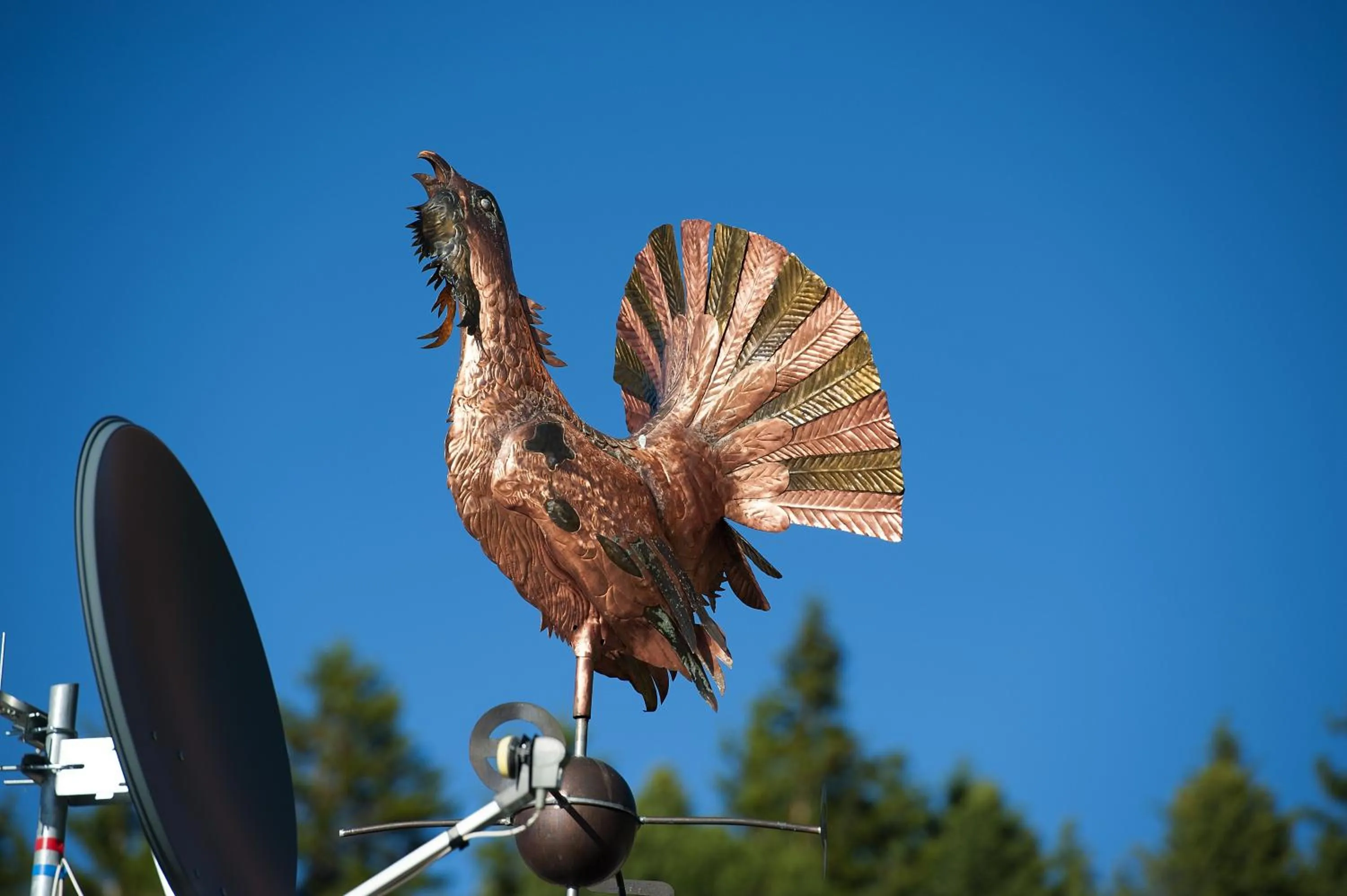 Restaurant/places to eat in Hotel Gallo Cedrone