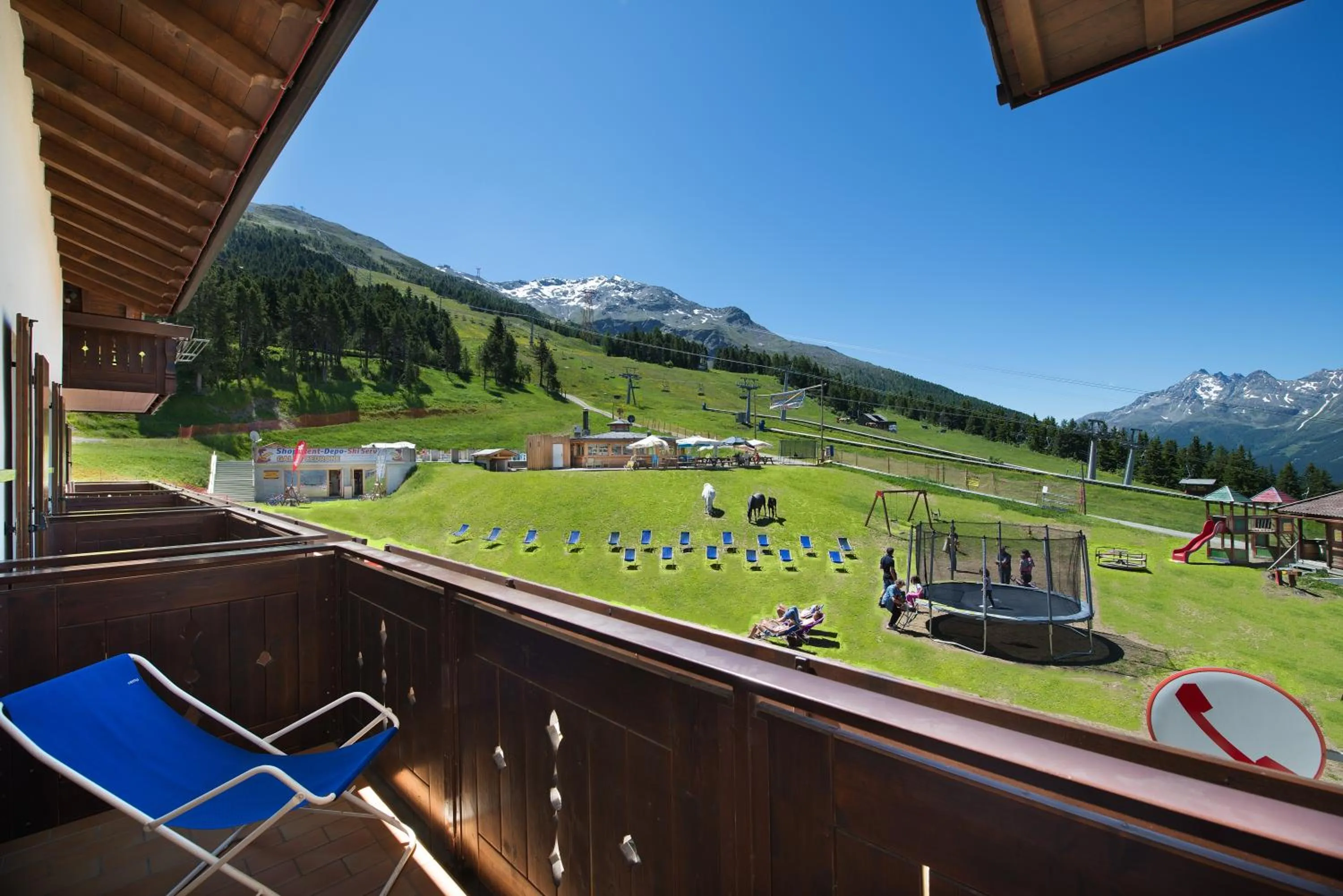 Pets in Hotel Gallo Cedrone