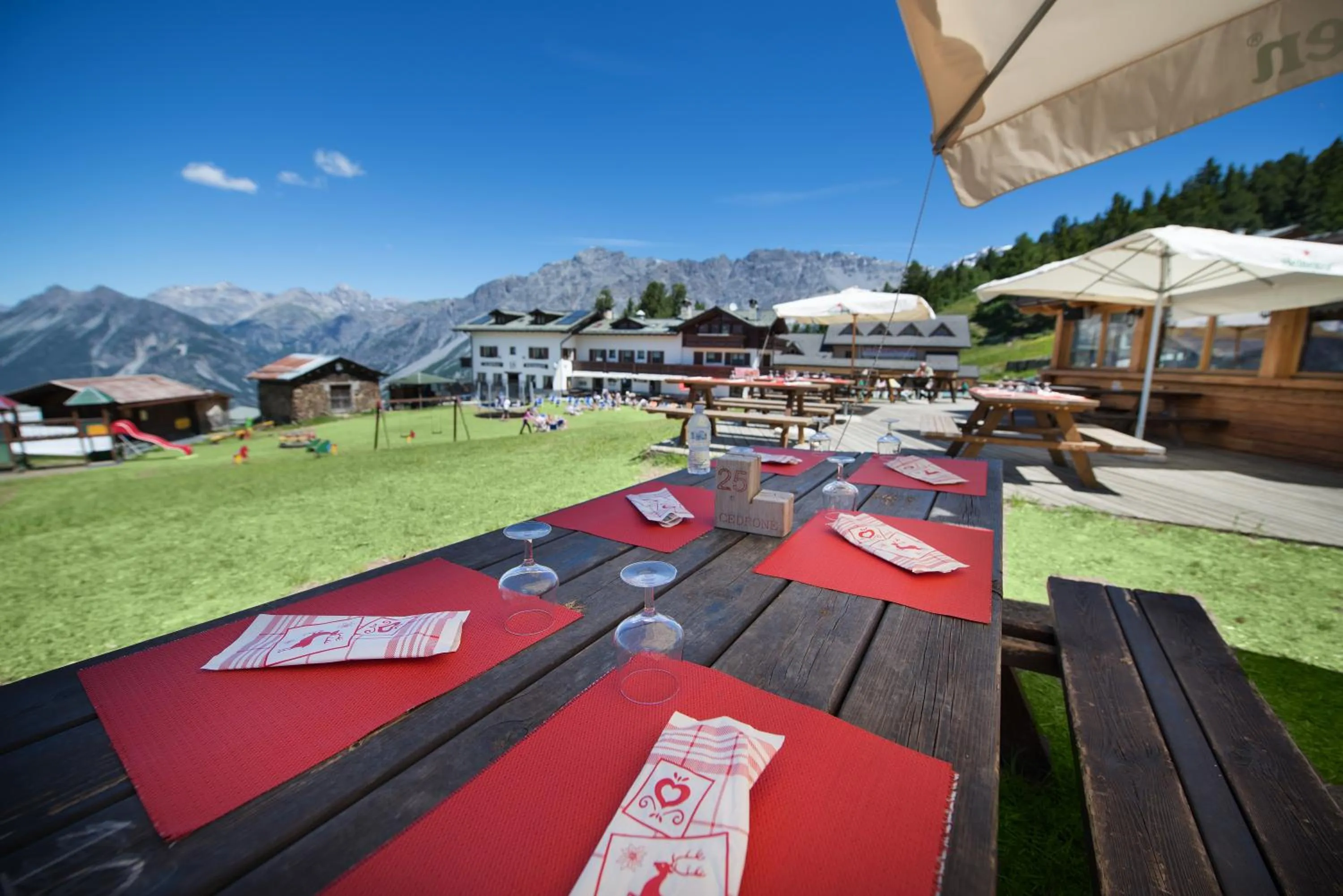 Garden in Hotel Gallo Cedrone