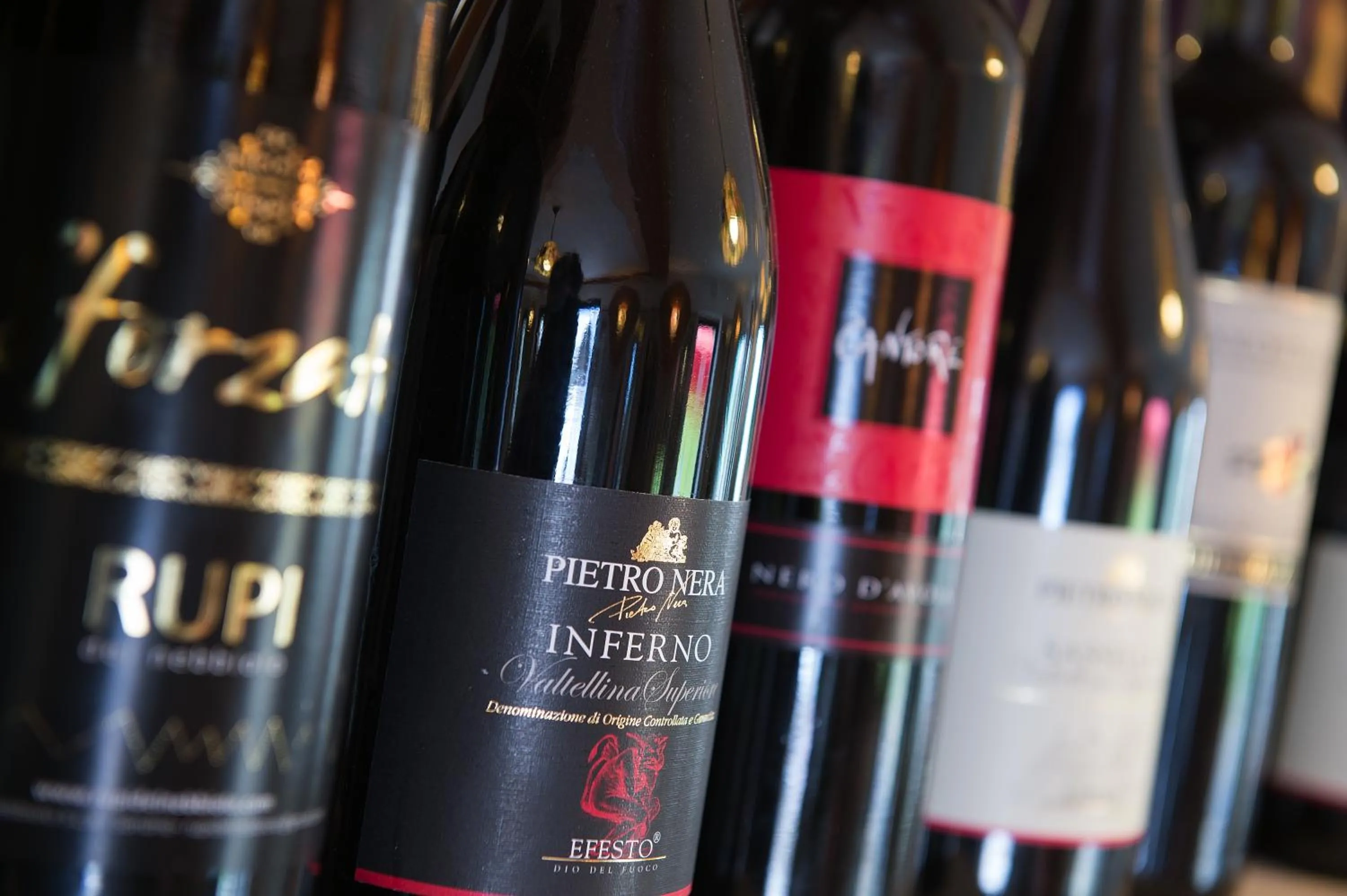 Lounge or bar in Hotel Gallo Cedrone