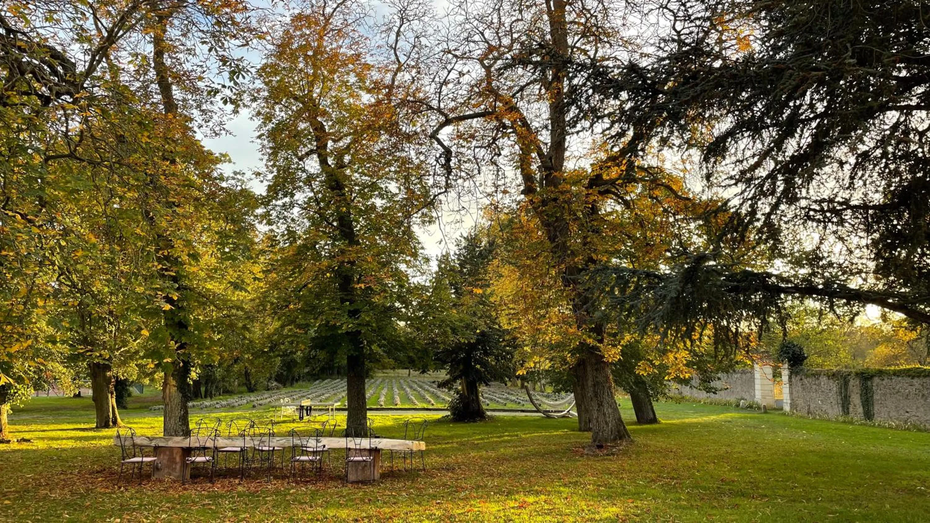 Garden in Château de l'Epinay