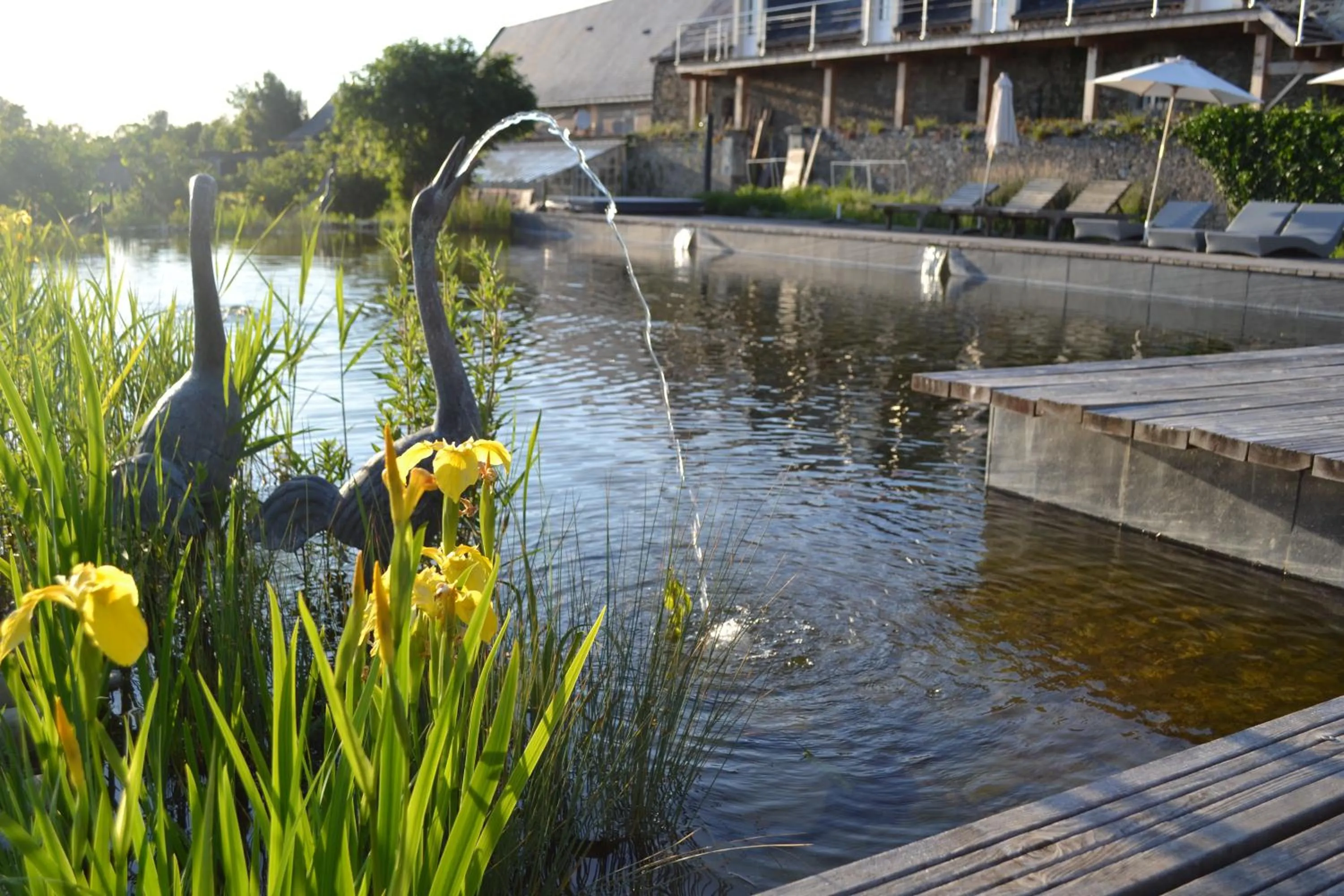 Swimming pool in Château de l'Epinay