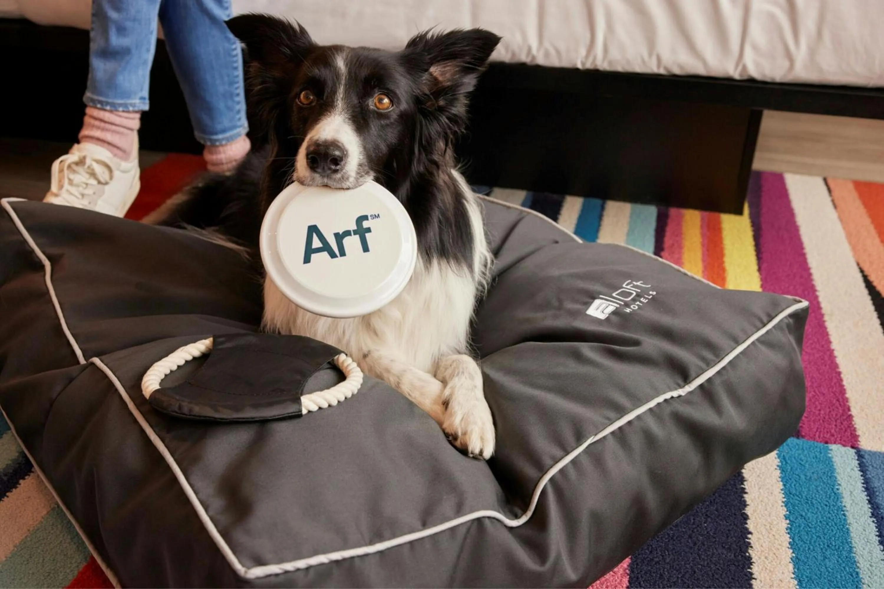 Other in Aloft Dublin City