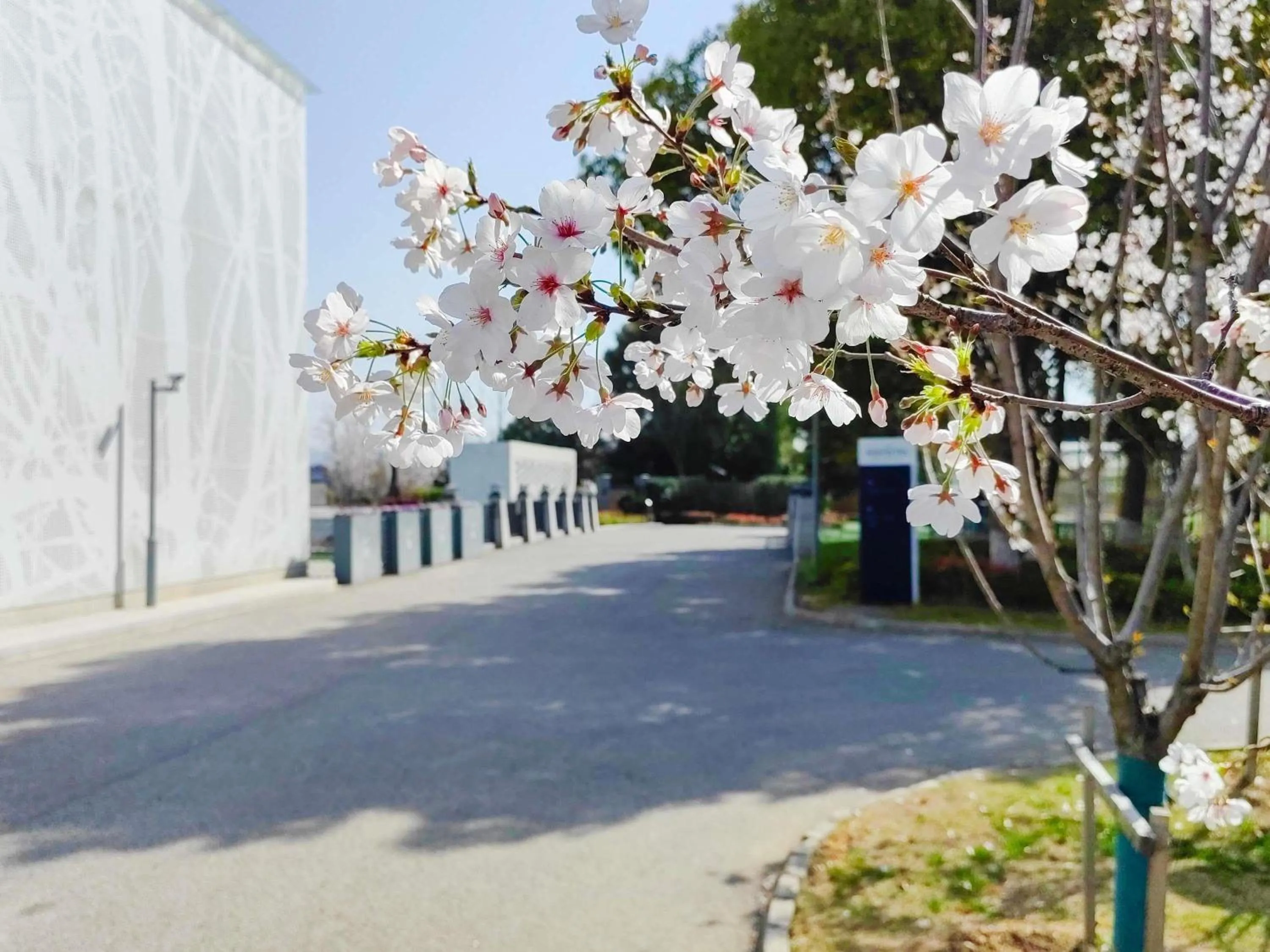 Other in Novotel Suzhou Tai Lake Santeh