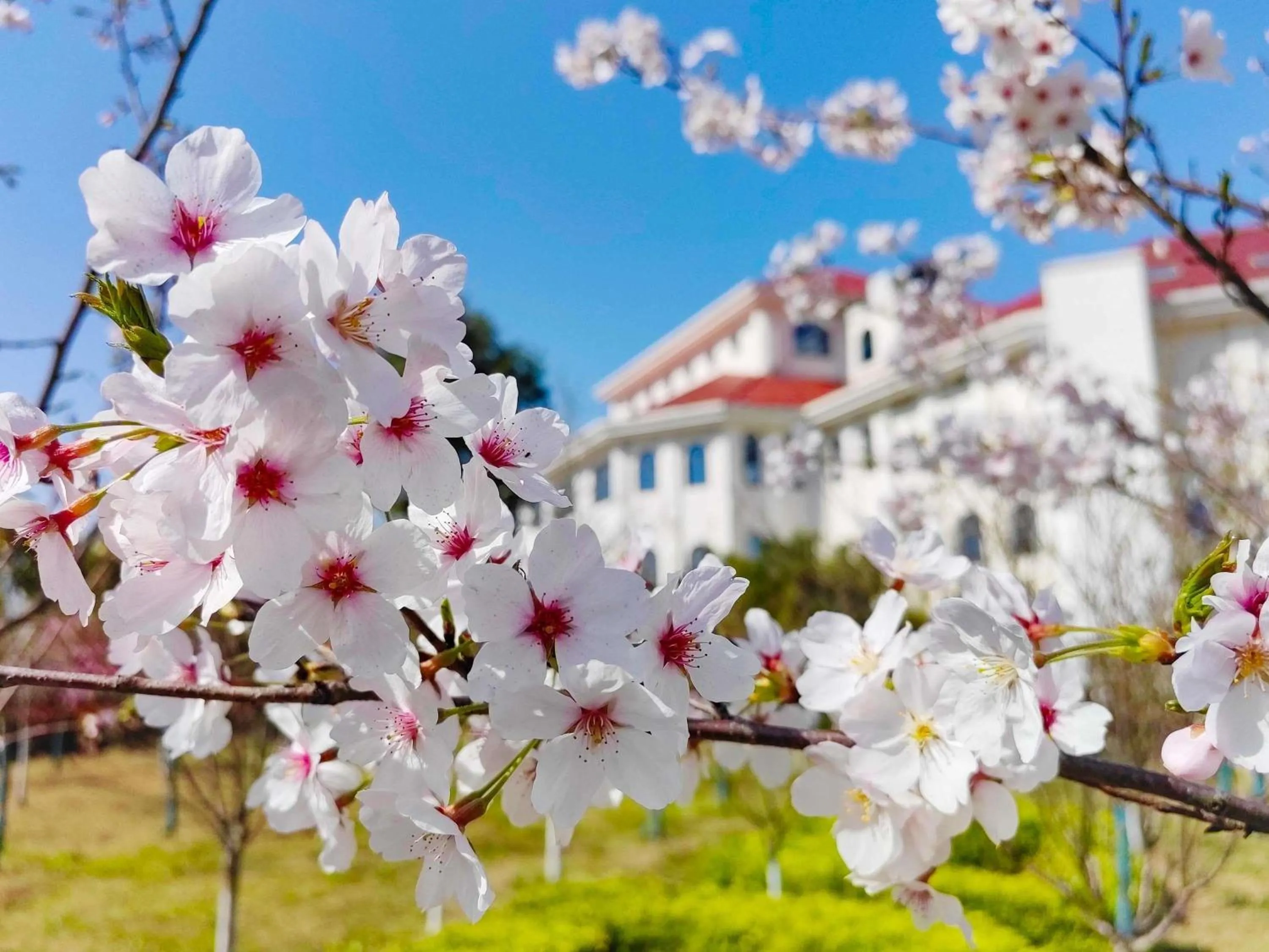Other in Novotel Suzhou Tai Lake Santeh