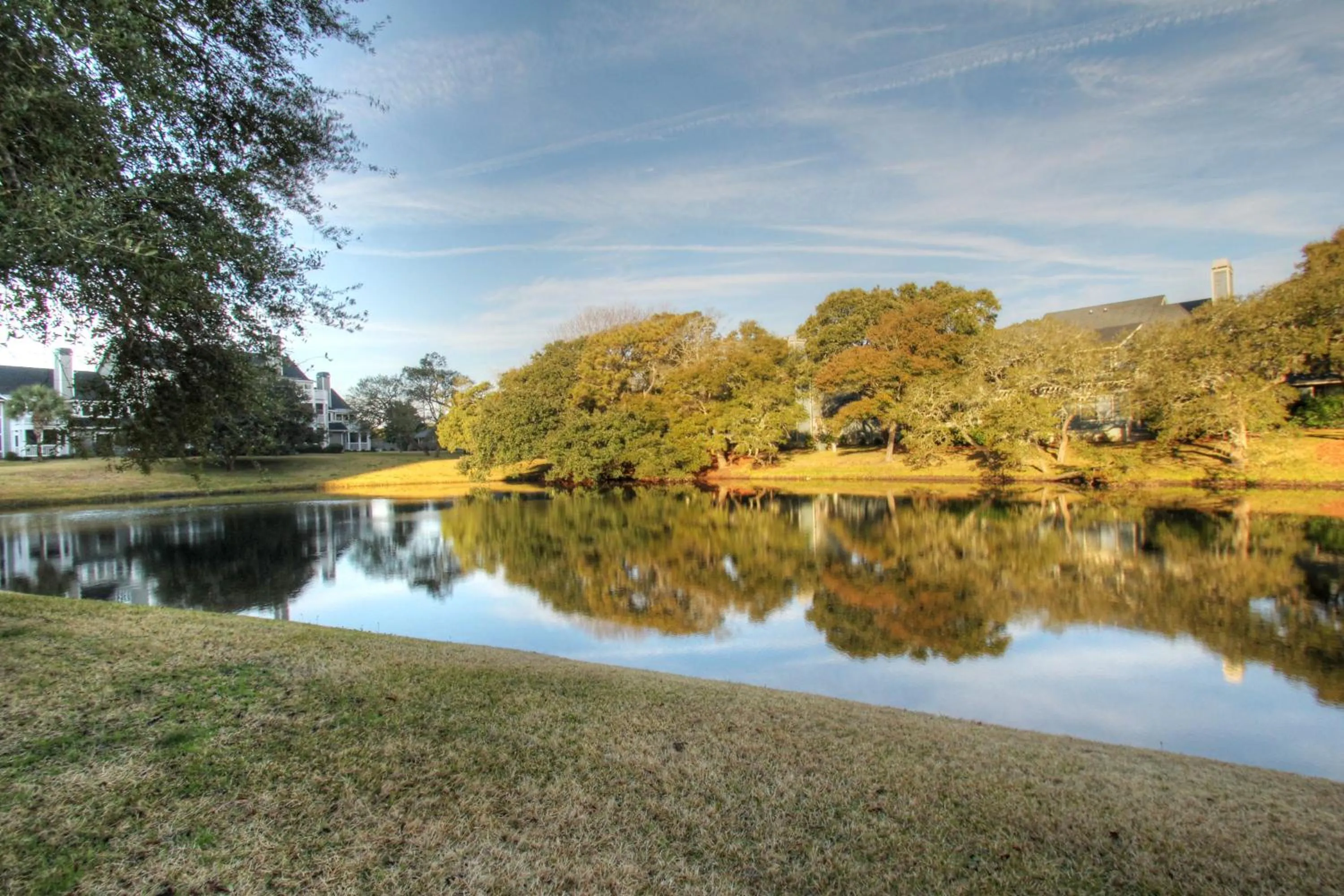 Natural landscape in Palmetto Vacation Rentals at Kingston Plantation