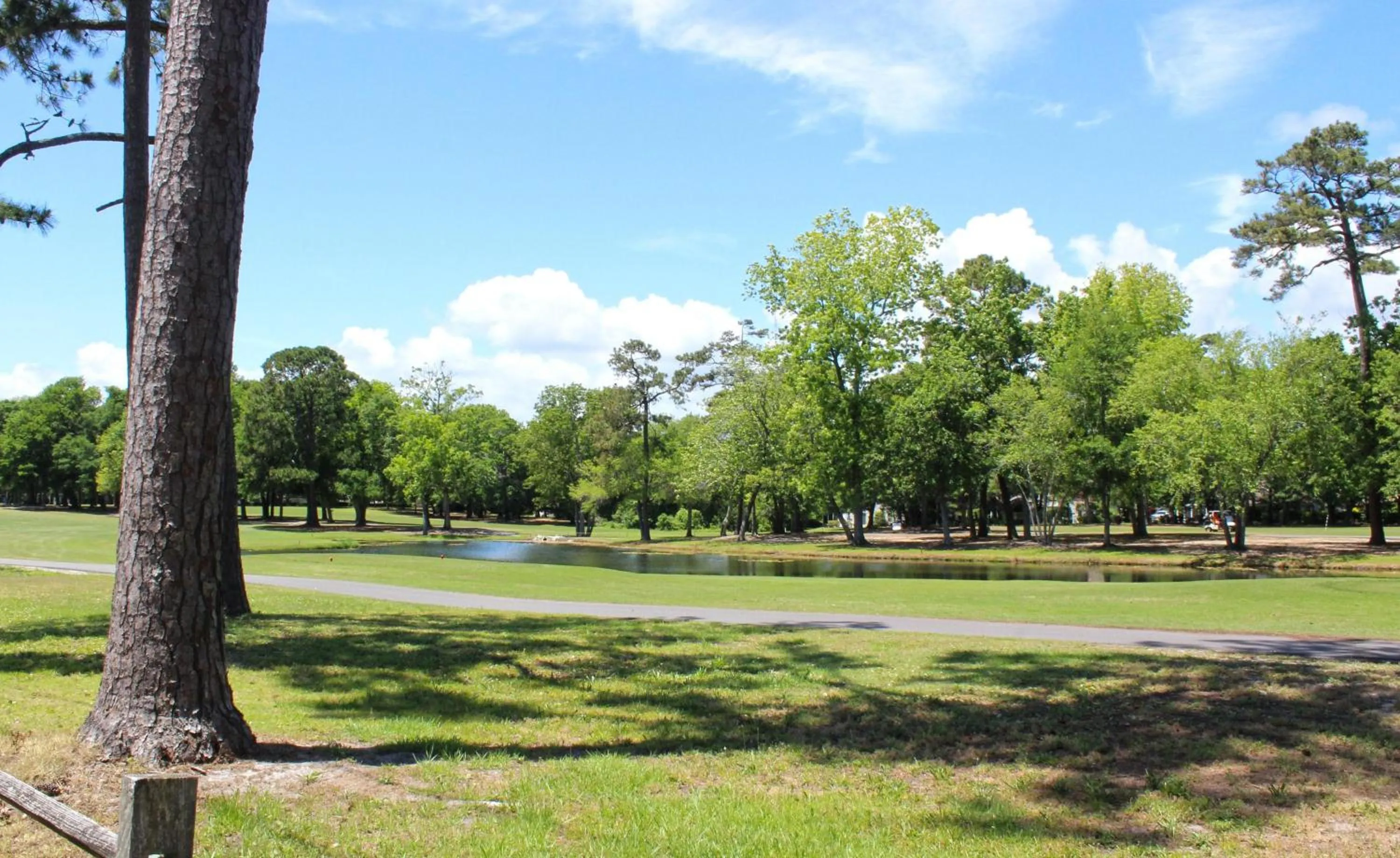 Golfcourse in Palmetto Vacation Rentals at Kingston Plantation