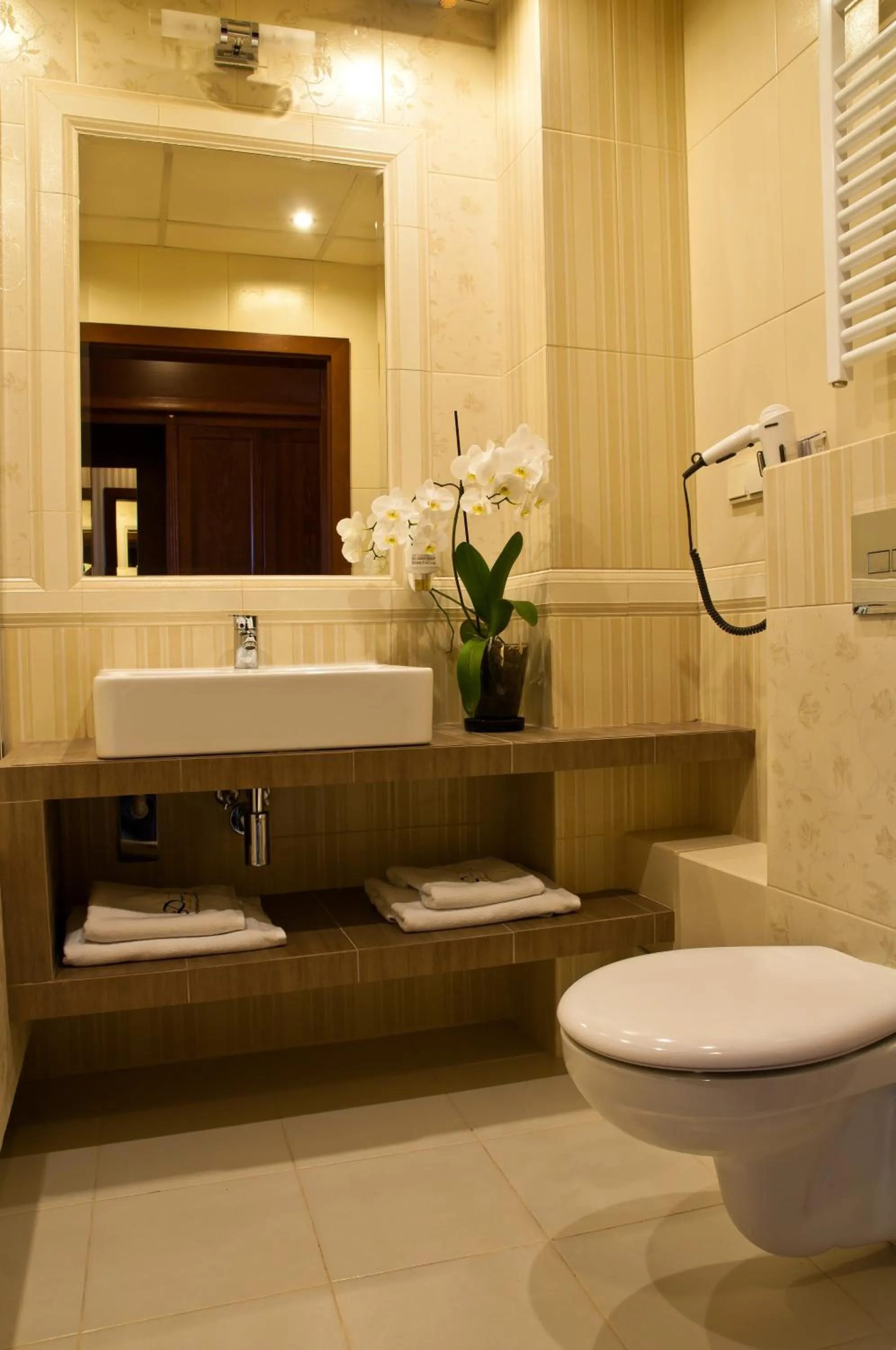 Toilet in Dwór Kresowy