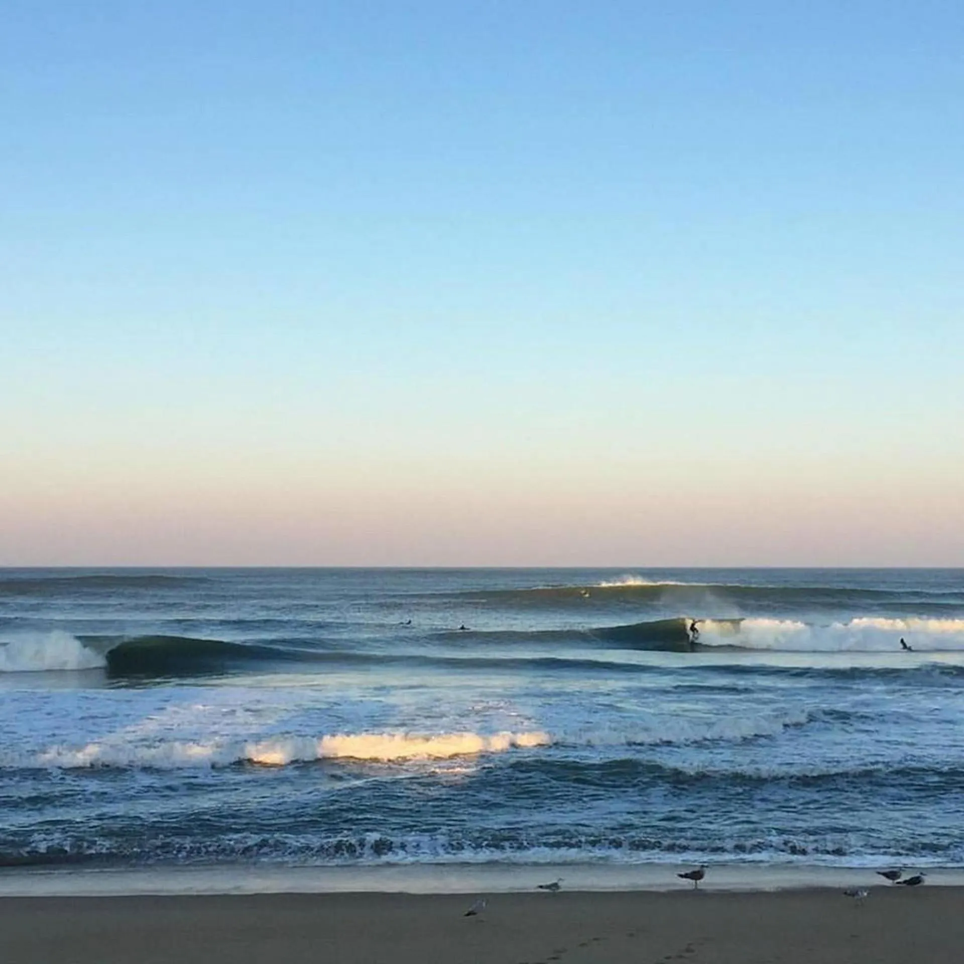 Beach in The Sea Ranch Resort