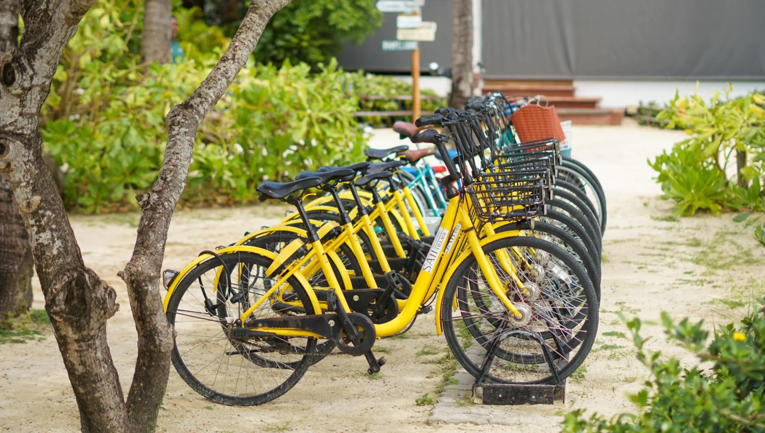 Cycling in SAii Phi Phi Island Village