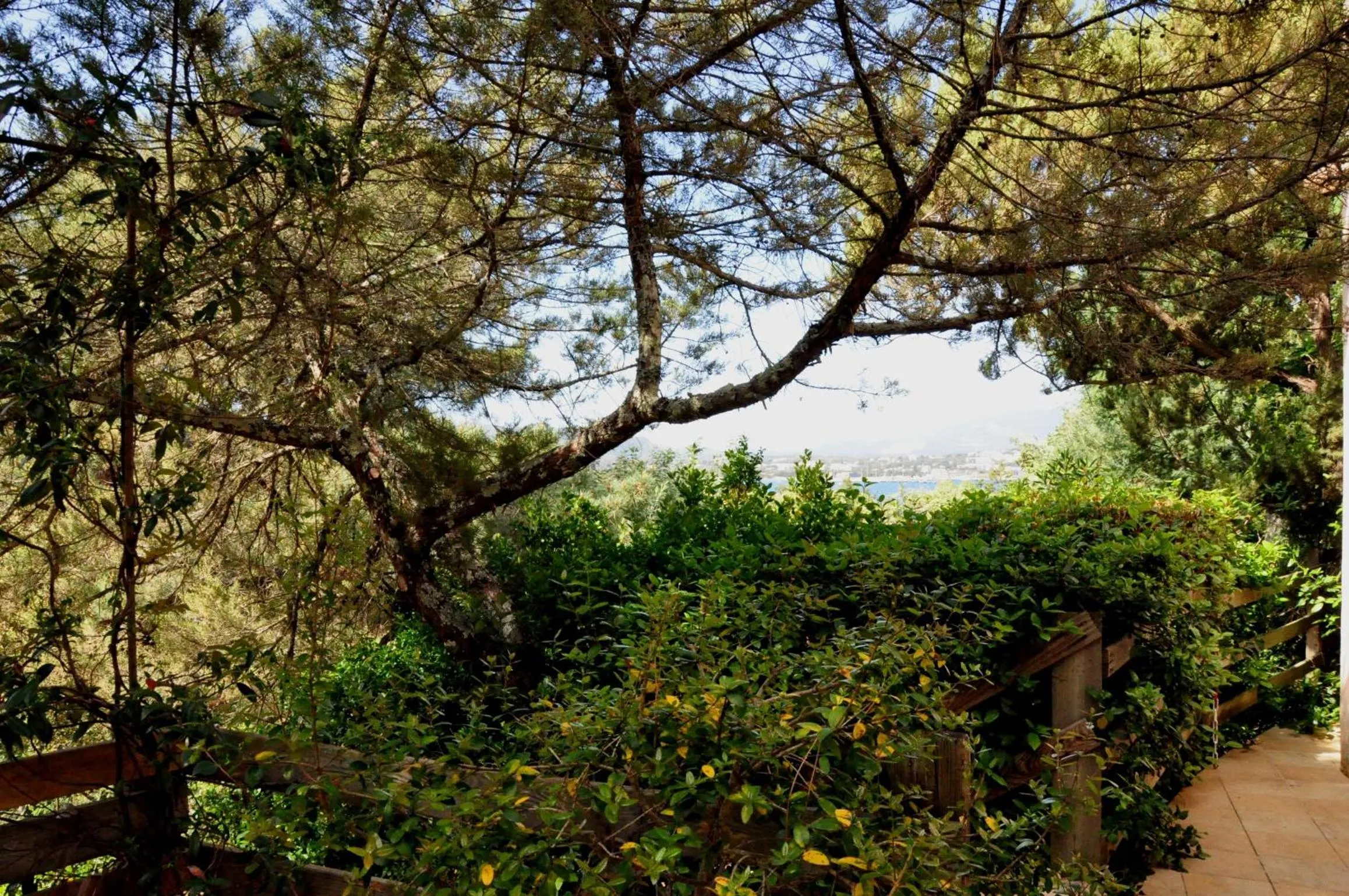 Balcony/Terrace in Private Hôtel - Adults Only